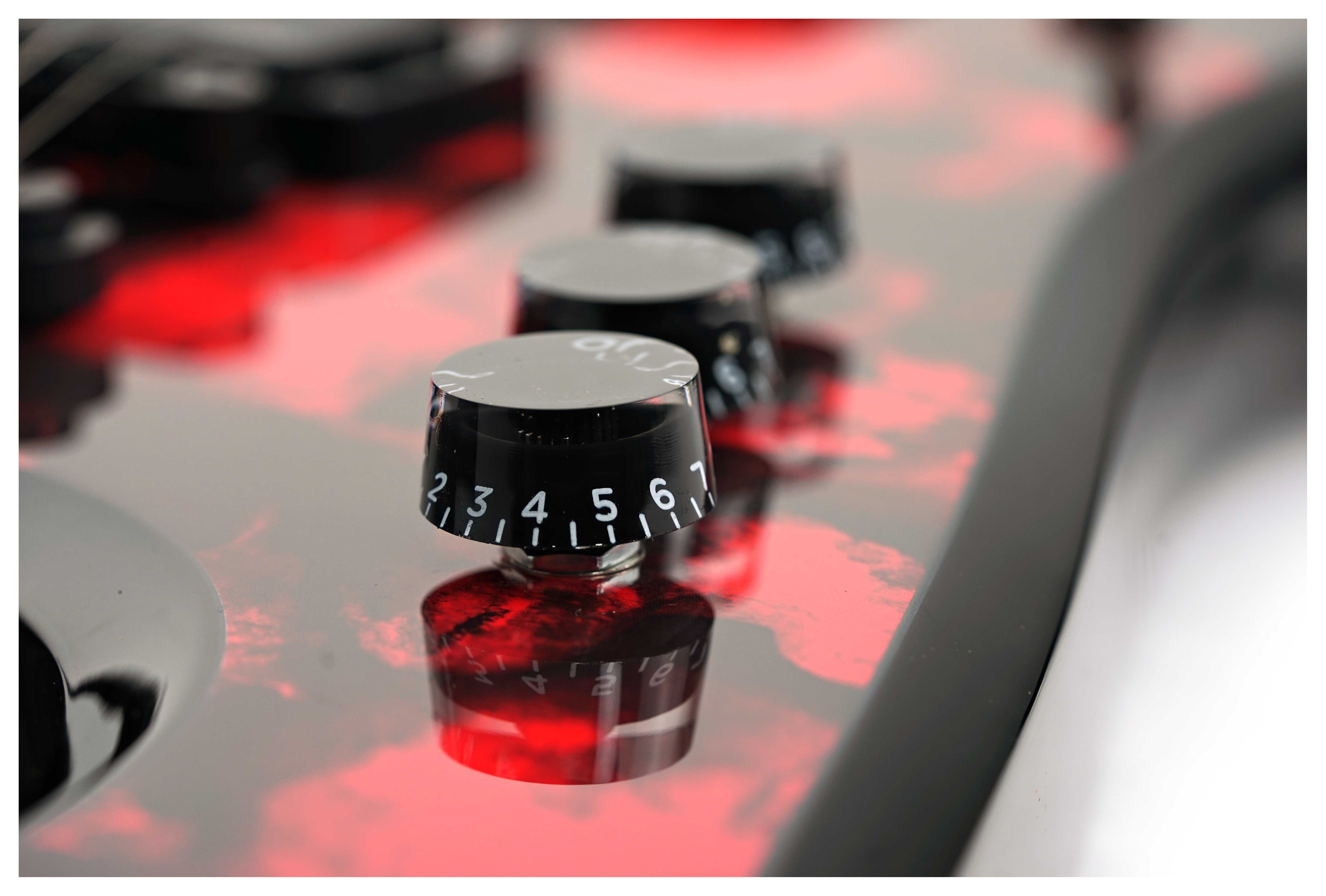 GUITARGUITAR Wylde Audio Berzerker Blood Skull
