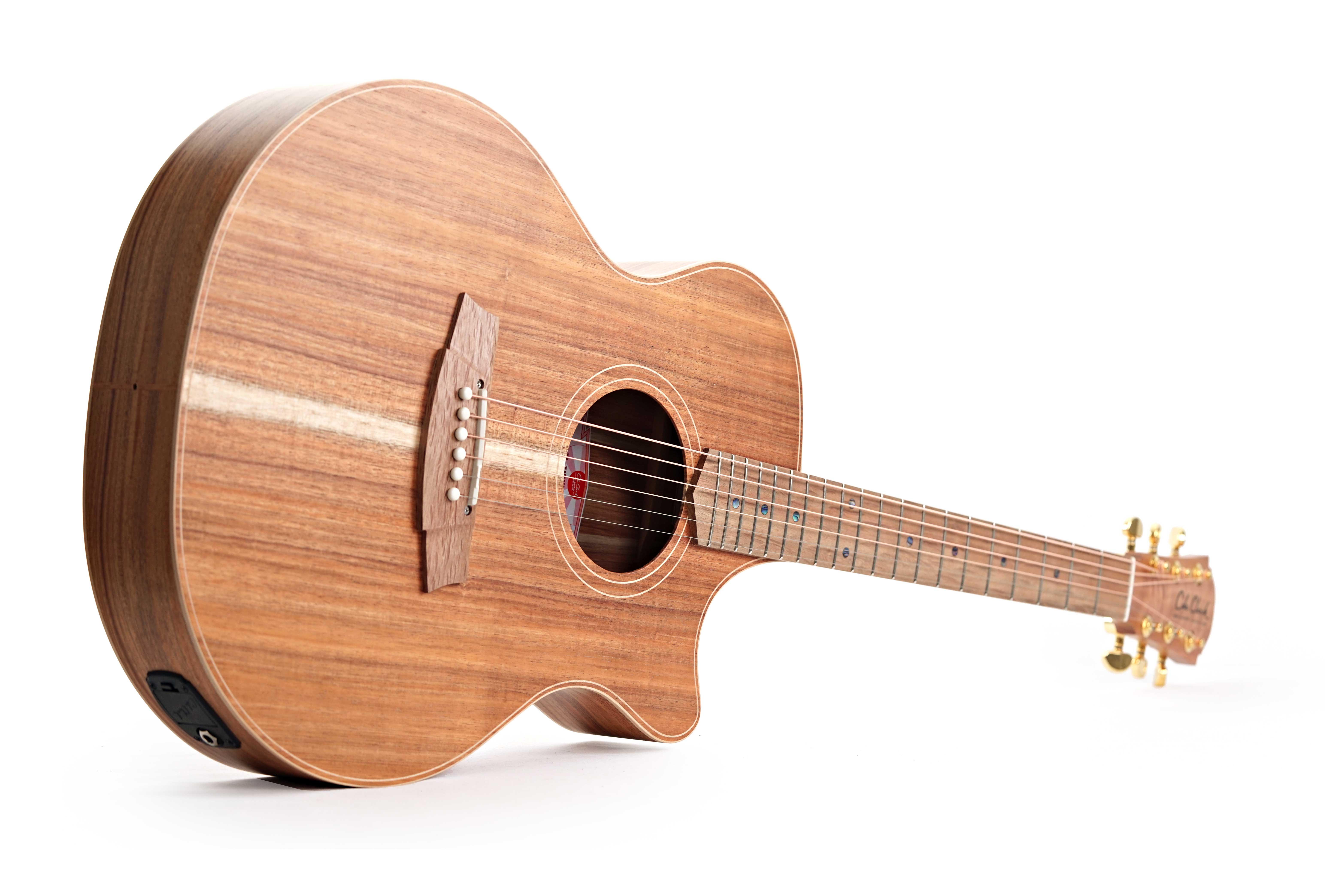 GUITARGUITAR Cole Clark Thinline TL 2 EC Blackwood / Blackwood #2505-16163