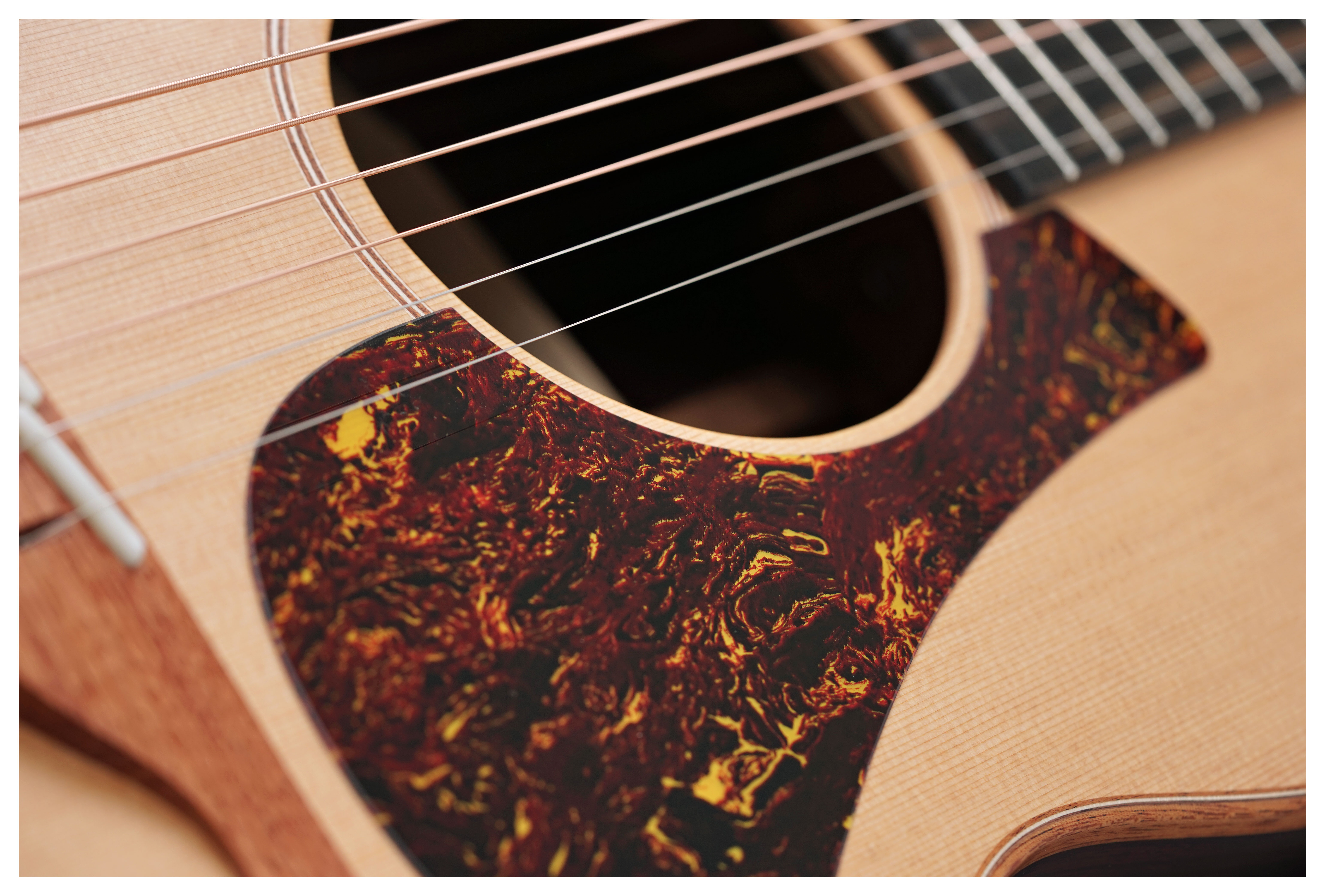 GUITARGUITAR Lowden F-10 Red Cedar / Indian Rosewood