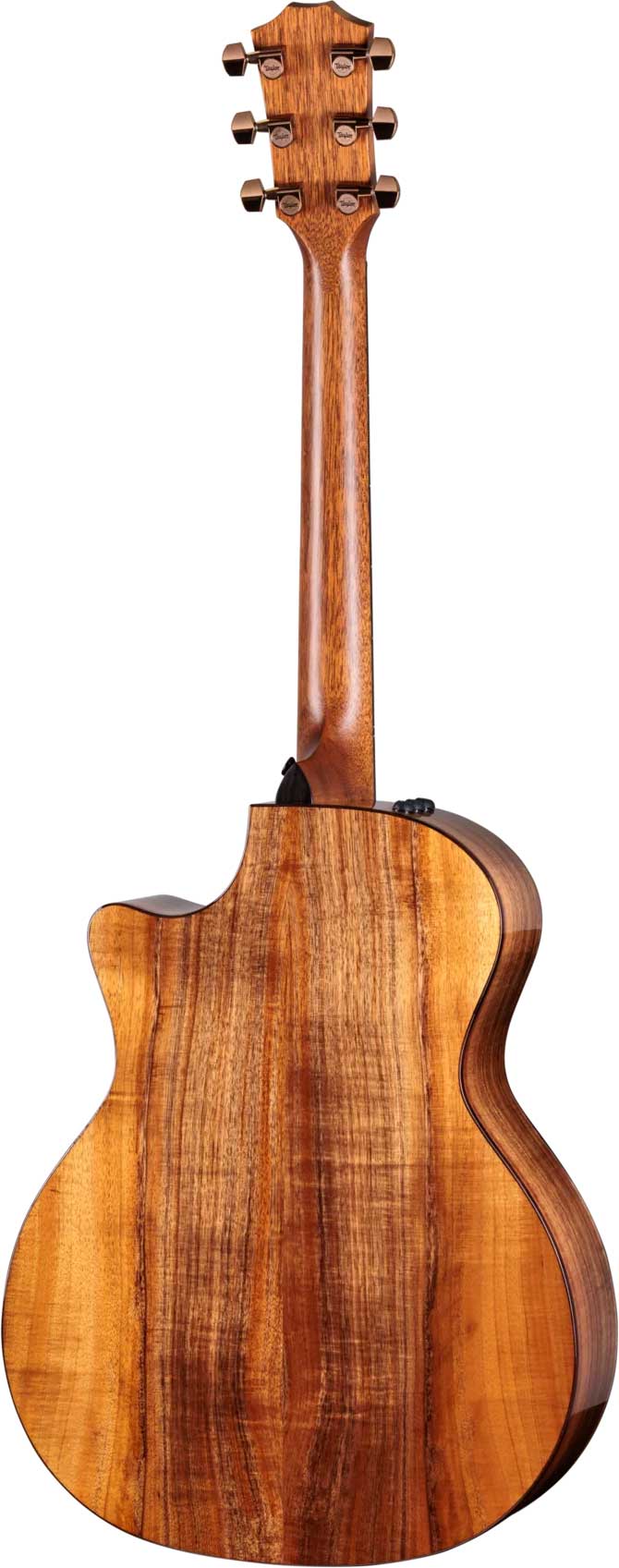 GUITARGUITAR Taylor 724ce Gloss Grand Auditorium