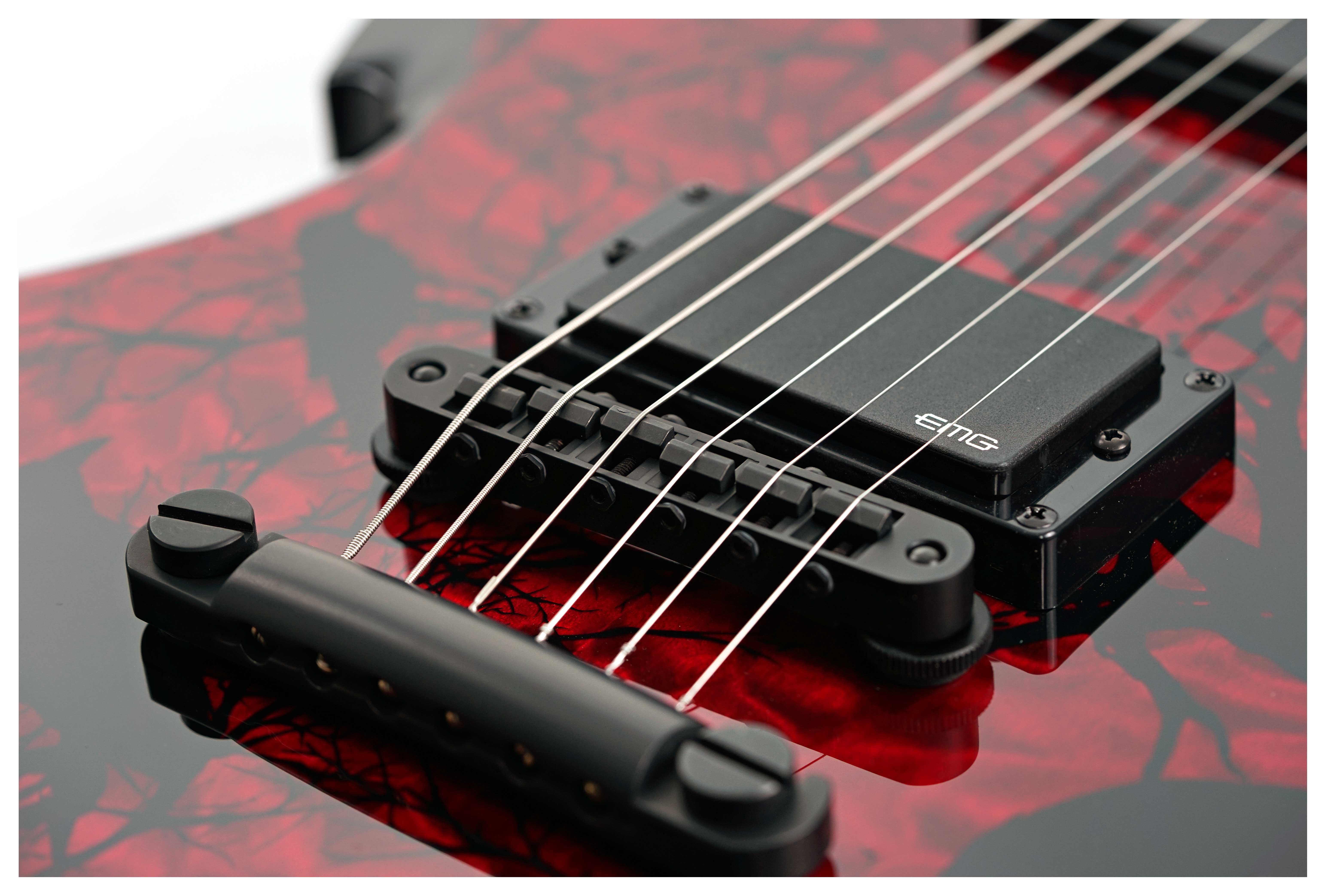 GUITARGUITAR Wylde Audio Barbarian Blood Raven