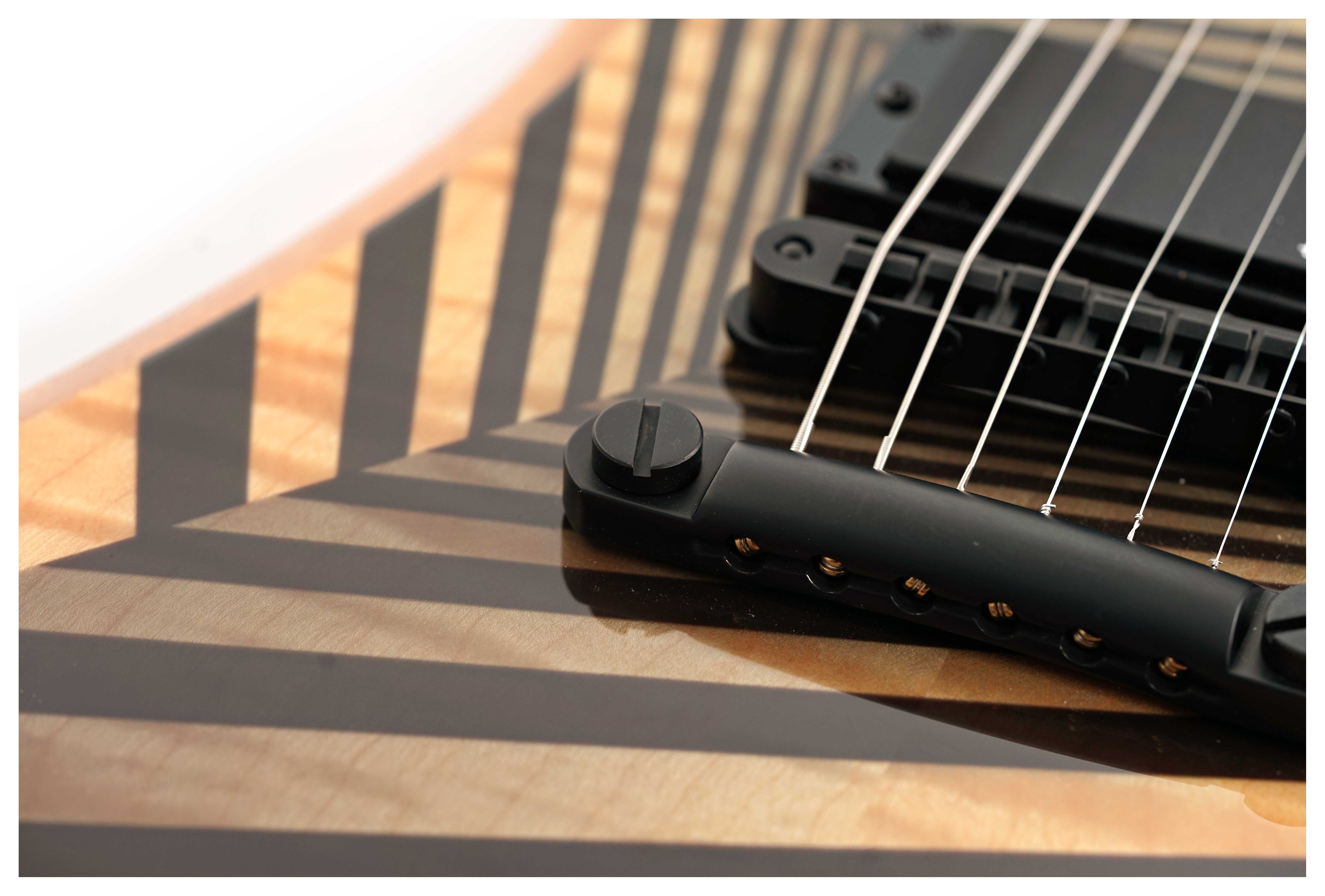 GUITARGUITAR Wylde Audio Berzerker Corridors