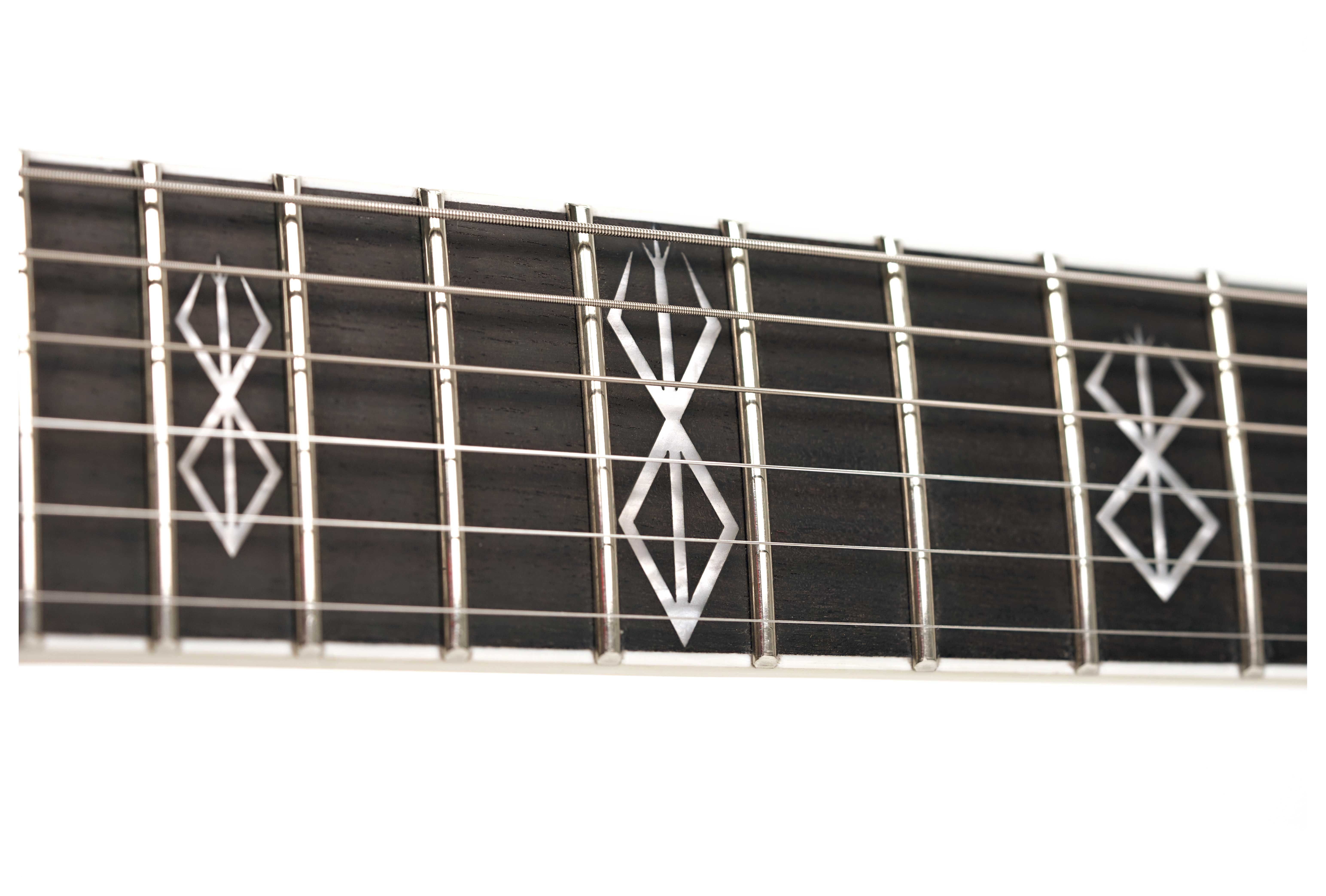 GUITARGUITAR Wylde Audio Berzerker Blood Skull