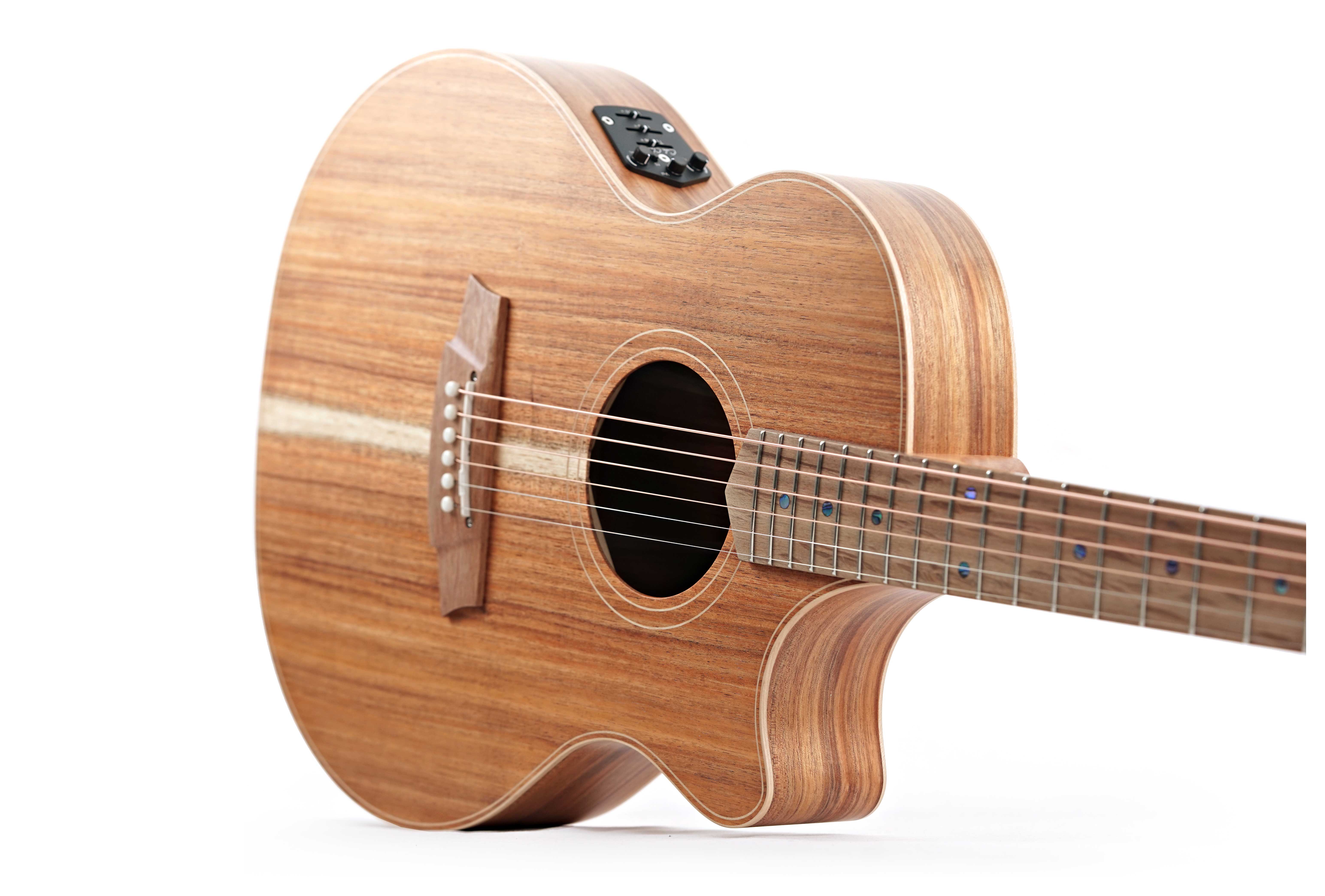 GUITARGUITAR Cole Clark Thinline TL 2 EC Blackwood / Blackwood #2505-16163