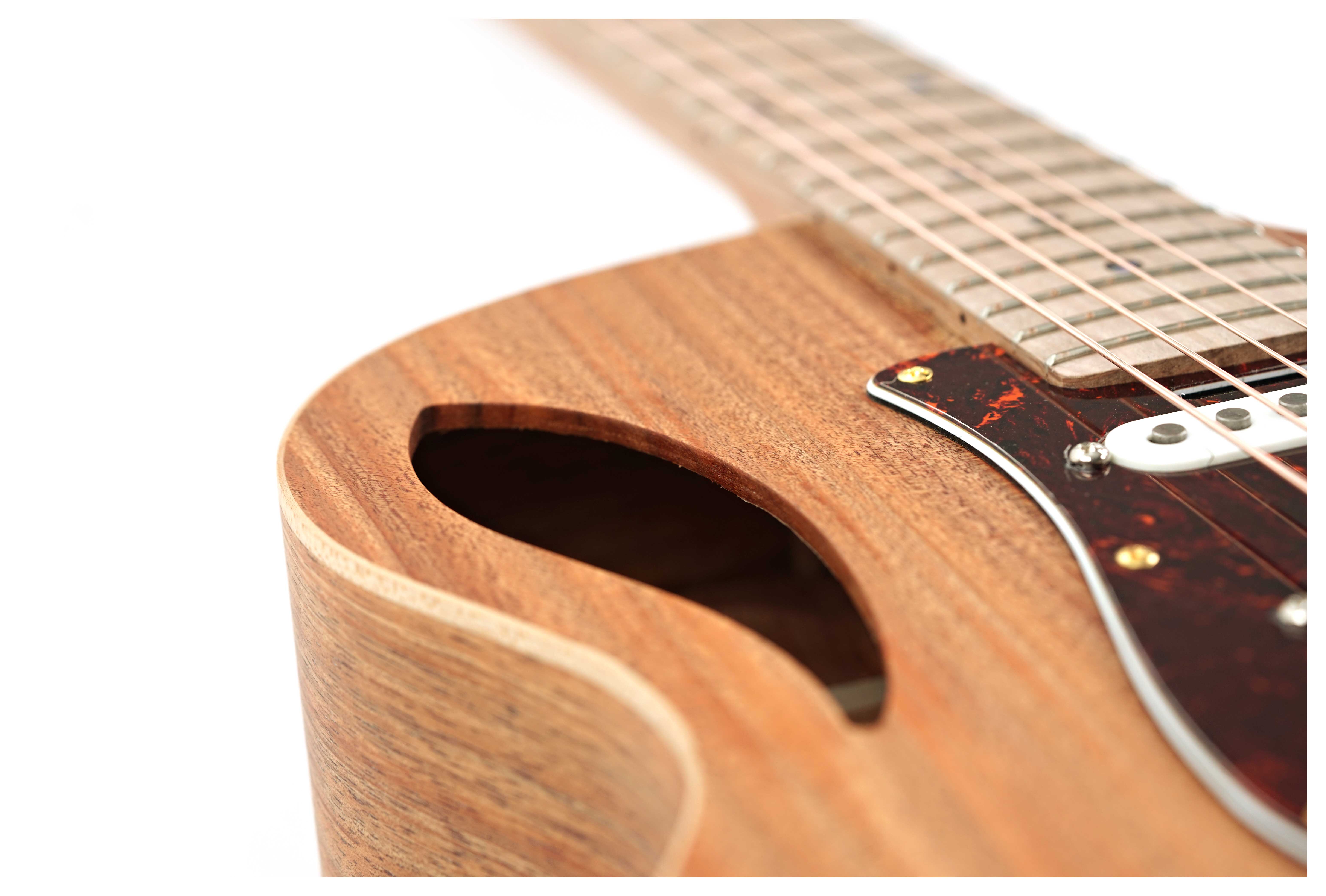 GUITARGUITAR Cole Clark True Hybrid HSS Thinline All Blackwood
