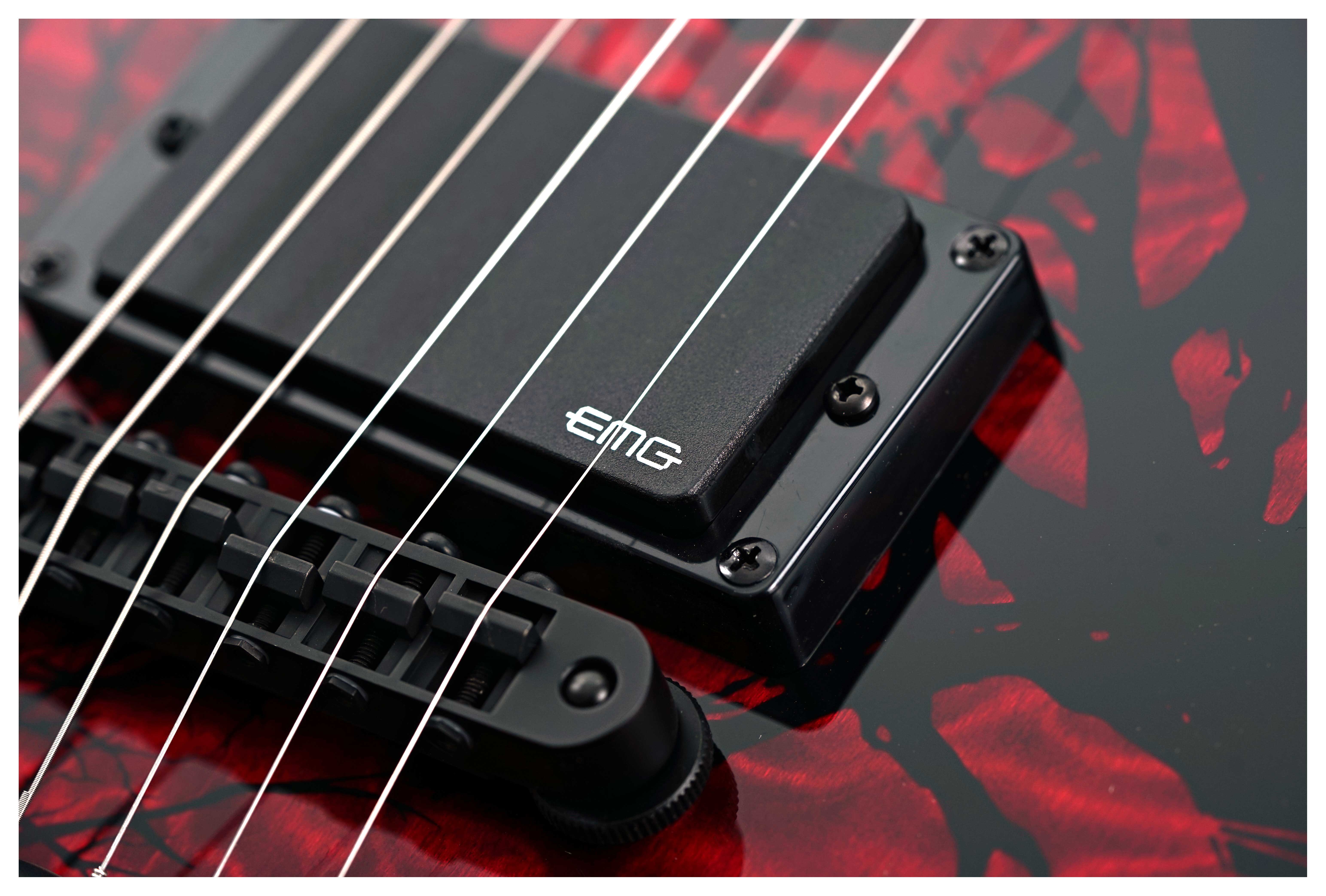 GUITARGUITAR Wylde Audio Barbarian Blood Raven