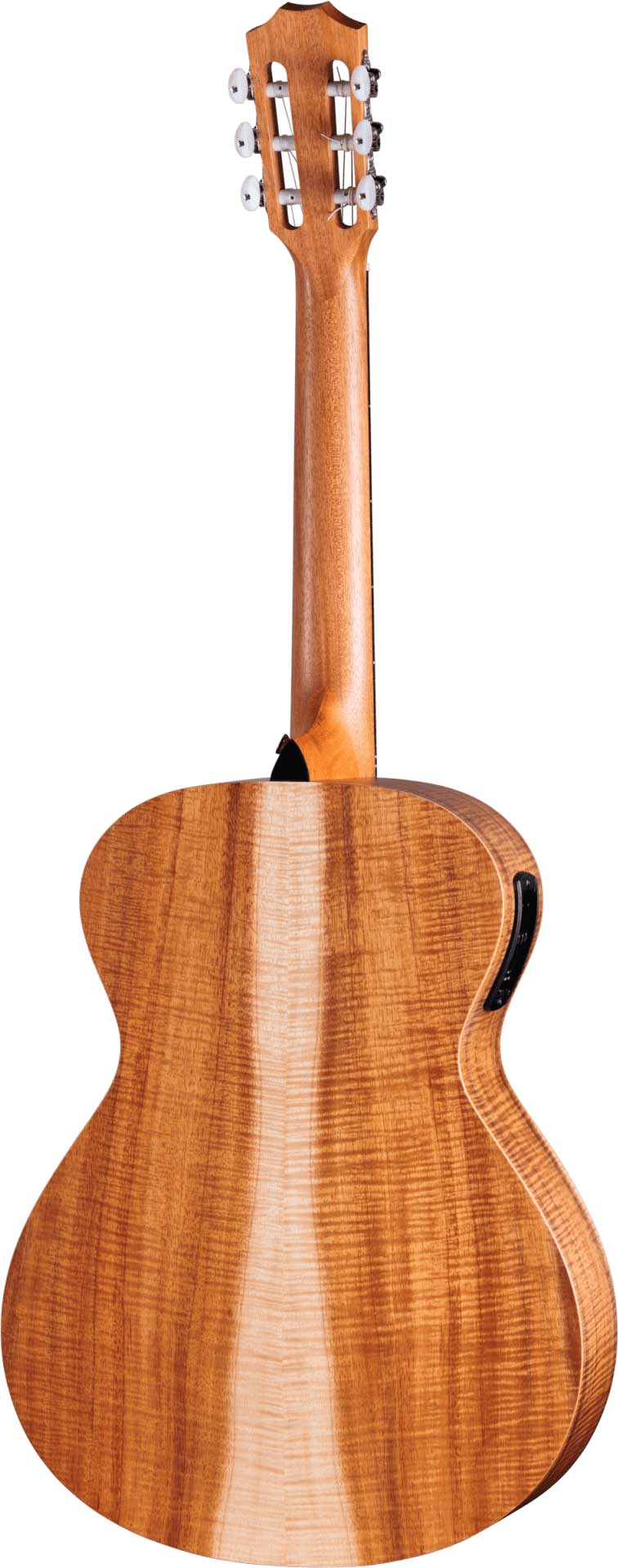 GUITARGUITAR Taylor Limited Edition Academy 12e-N Koa Grand Concert
