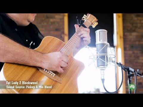 GUITARGUITAR Cole Clark FL 2 EC Blackwood/Blackwood