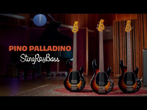 GUITARGUITAR Music Man Pino Palladino Signature StingRay