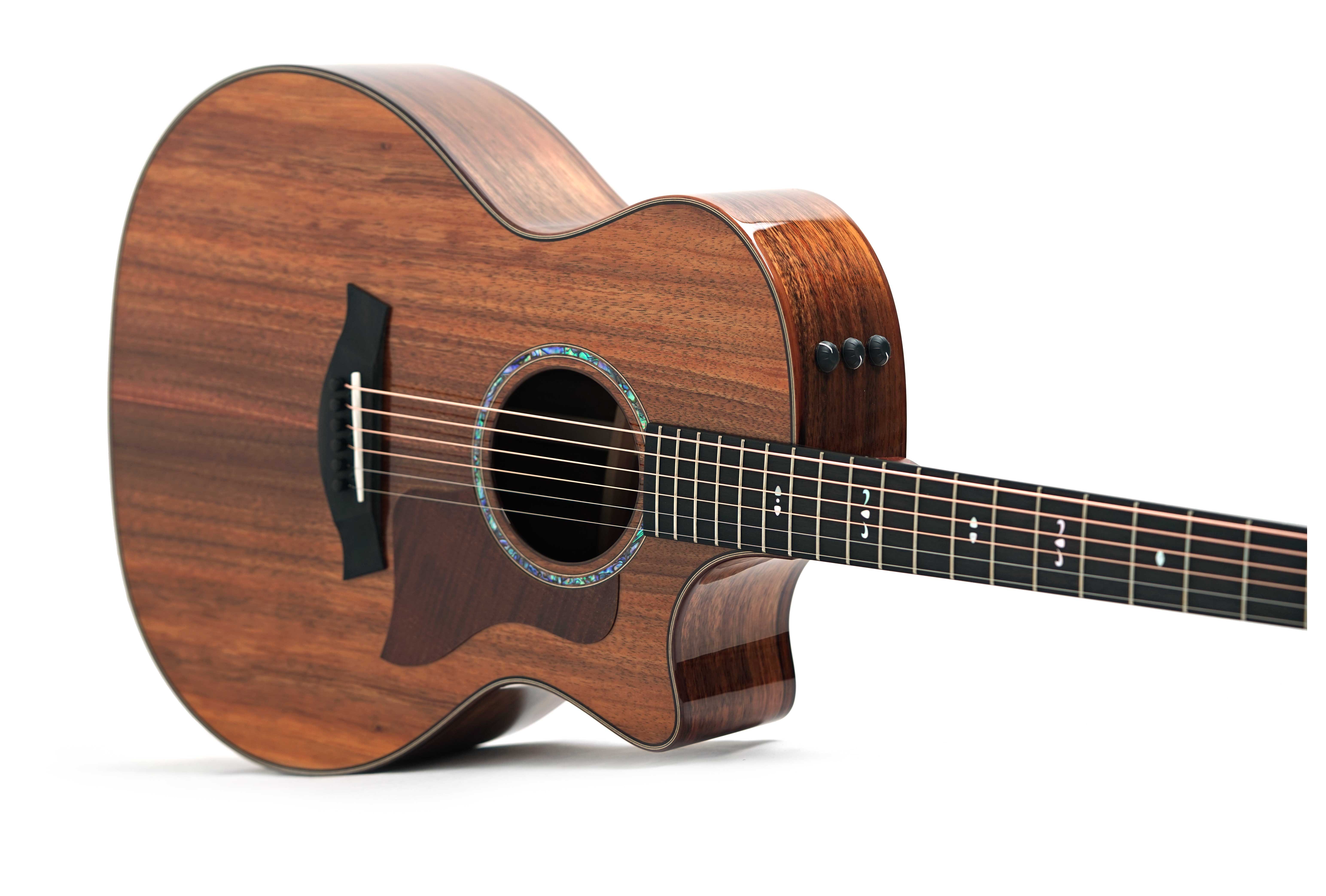 GUITARGUITAR Taylor 724ce Gloss Grand Auditorium #1203285071