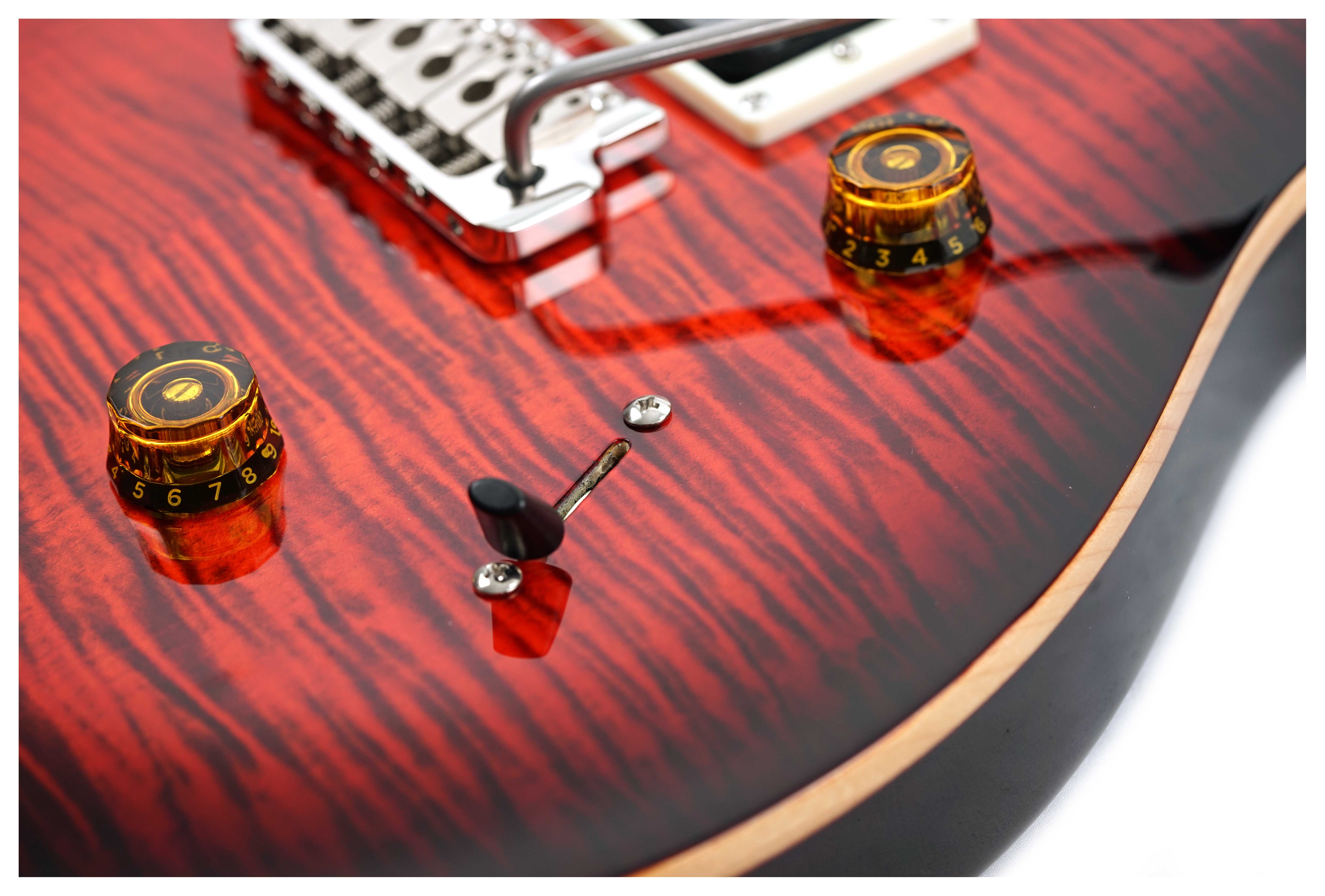 GUITARGUITAR PRS SE Custom 24 Orange Tiger Smokeburst