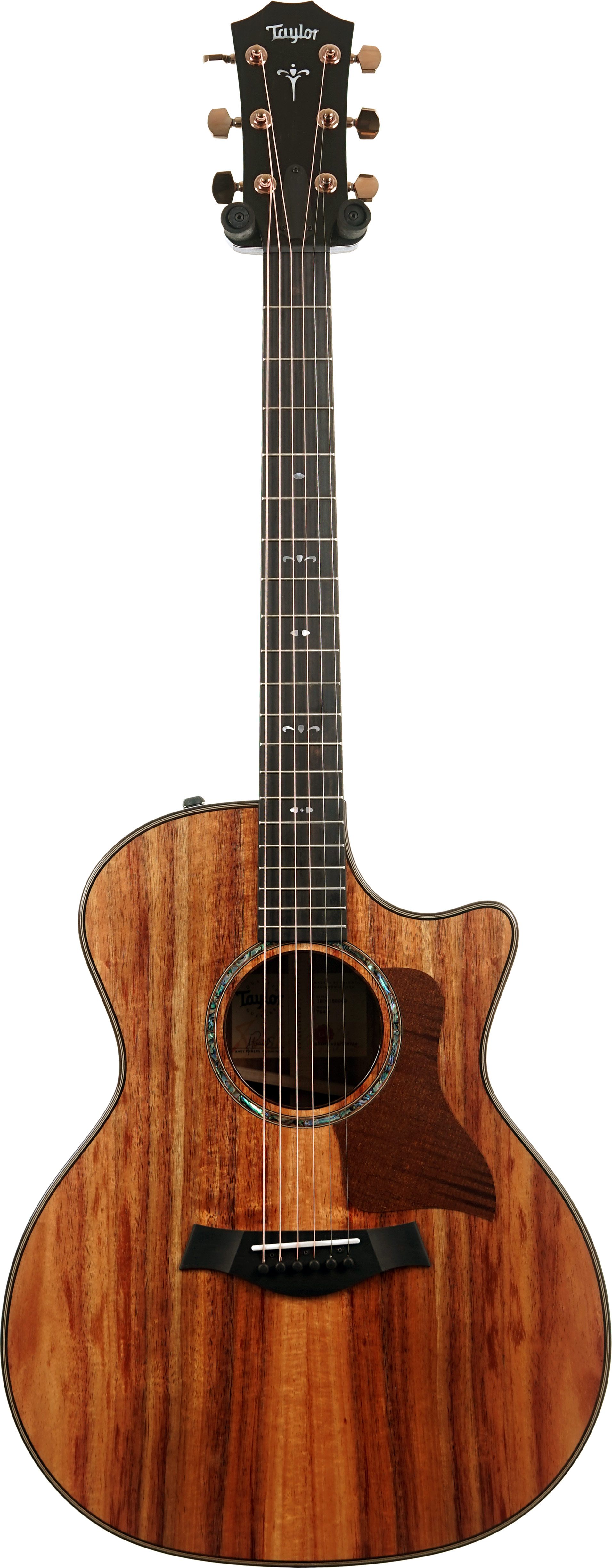 GUITARGUITAR Taylor 724ce Gloss Grand Auditorium #1204155049