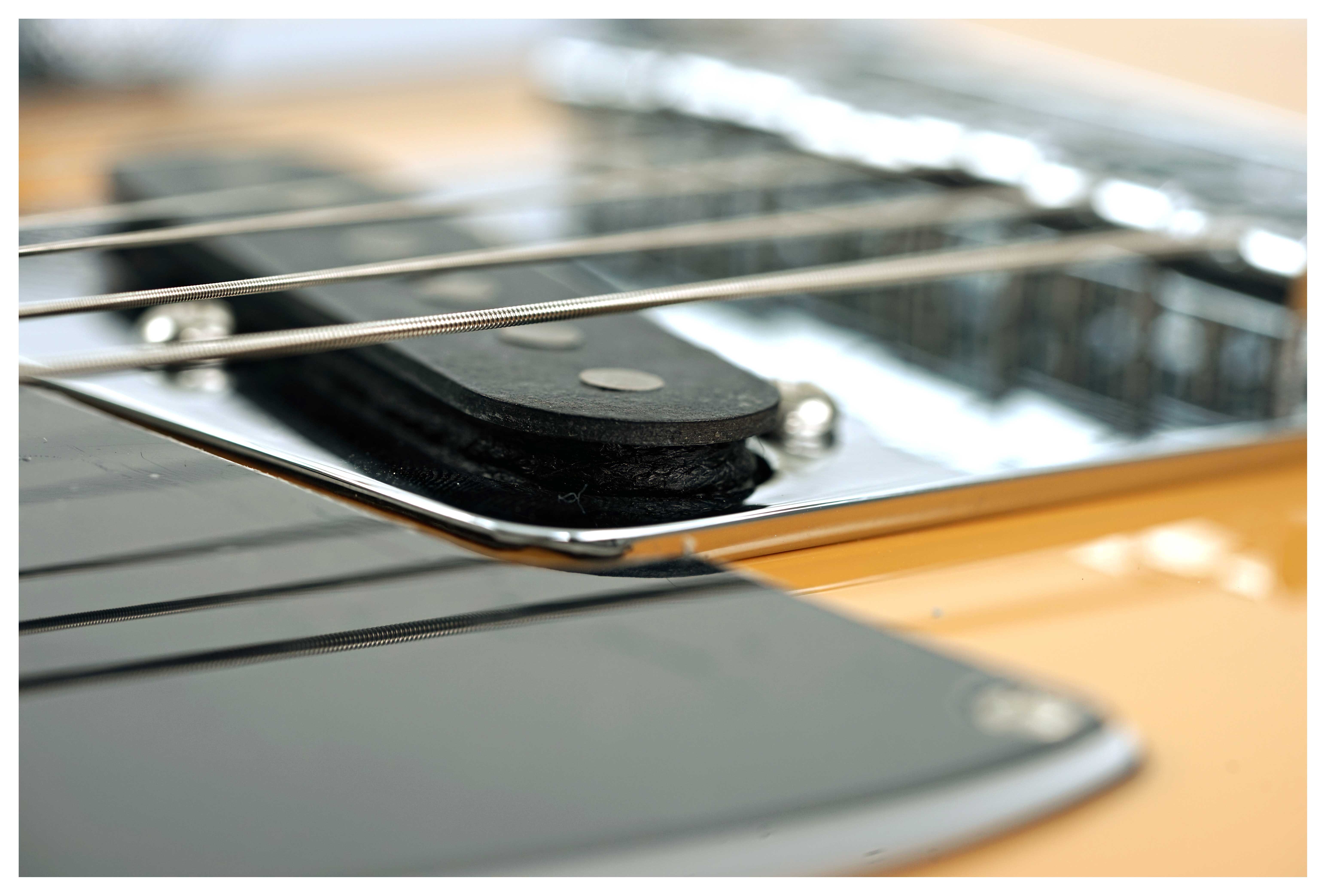 GUITARGUITAR Fender guitarguitar Exclusive Roasted Player II Telecaster Butterscotch Blonde with Custom Shop Pickups