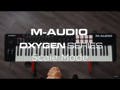 GUITARGUITAR M-Audio Oxygen 61 MKV