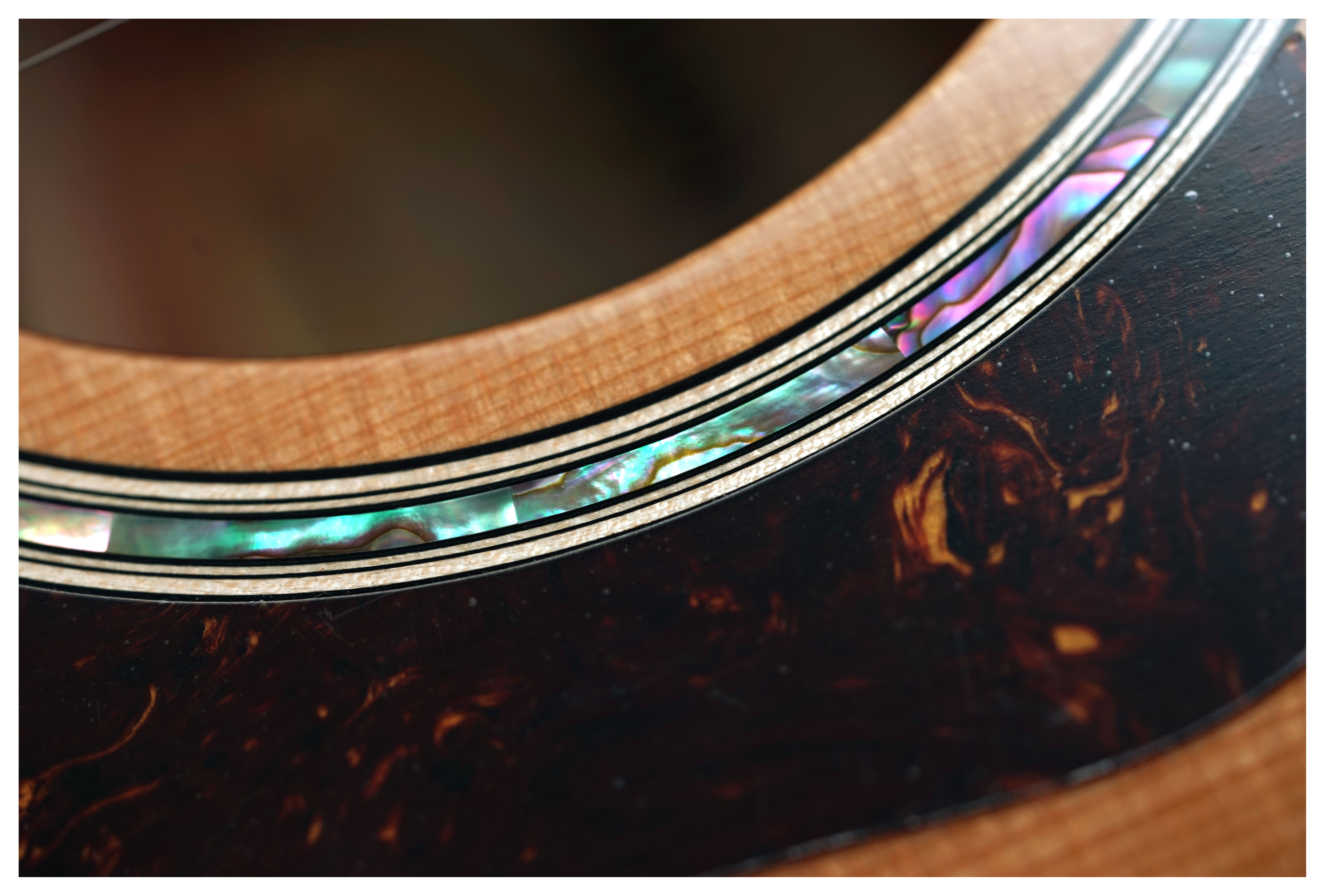 GUITARGUITAR Taylor 514ce Grand Auditorium Torrefied Sitka Spruce/Urban Ironbark #1208294056