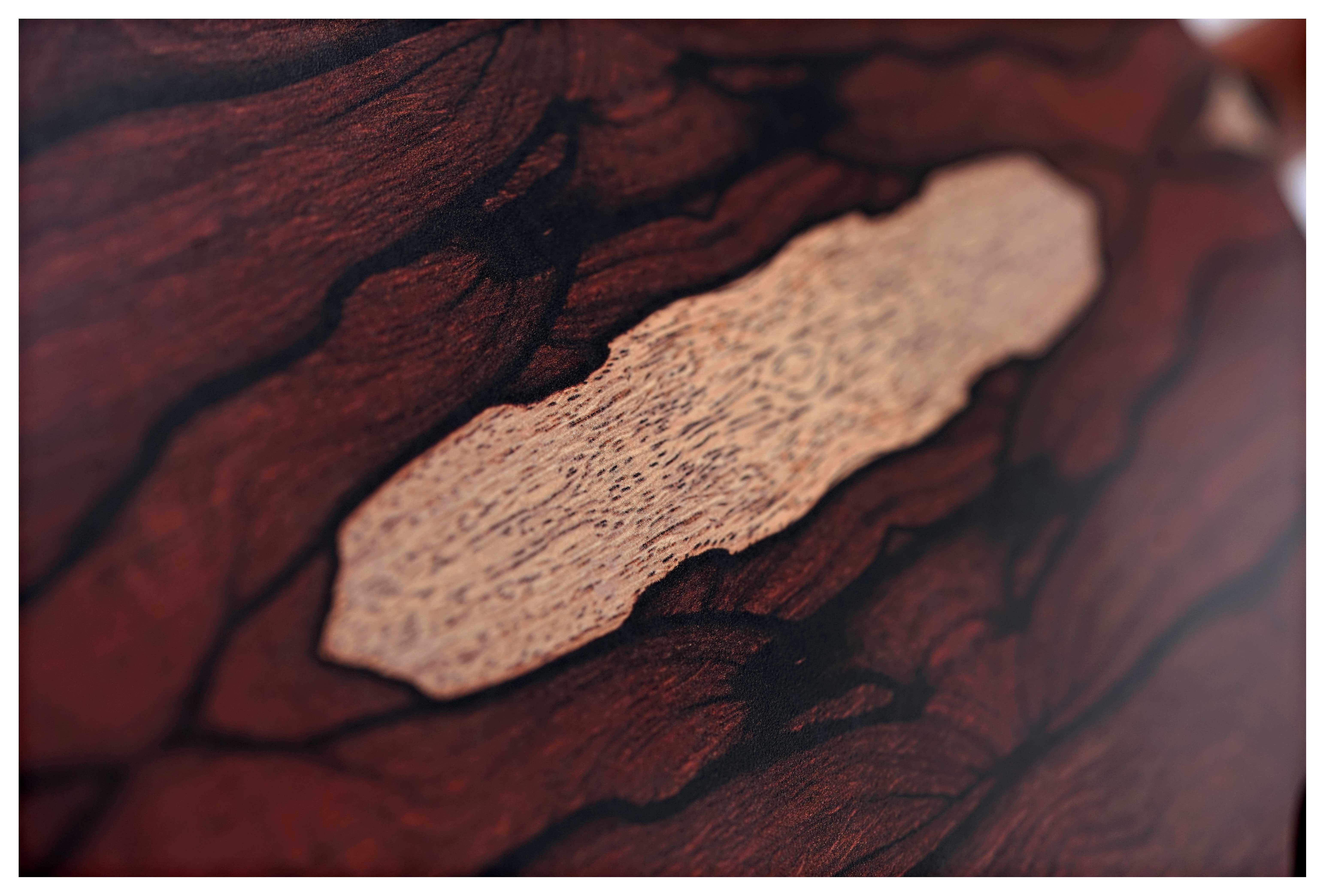 GUITARGUITAR Martin 0-X2E Cocobolo Left Handed