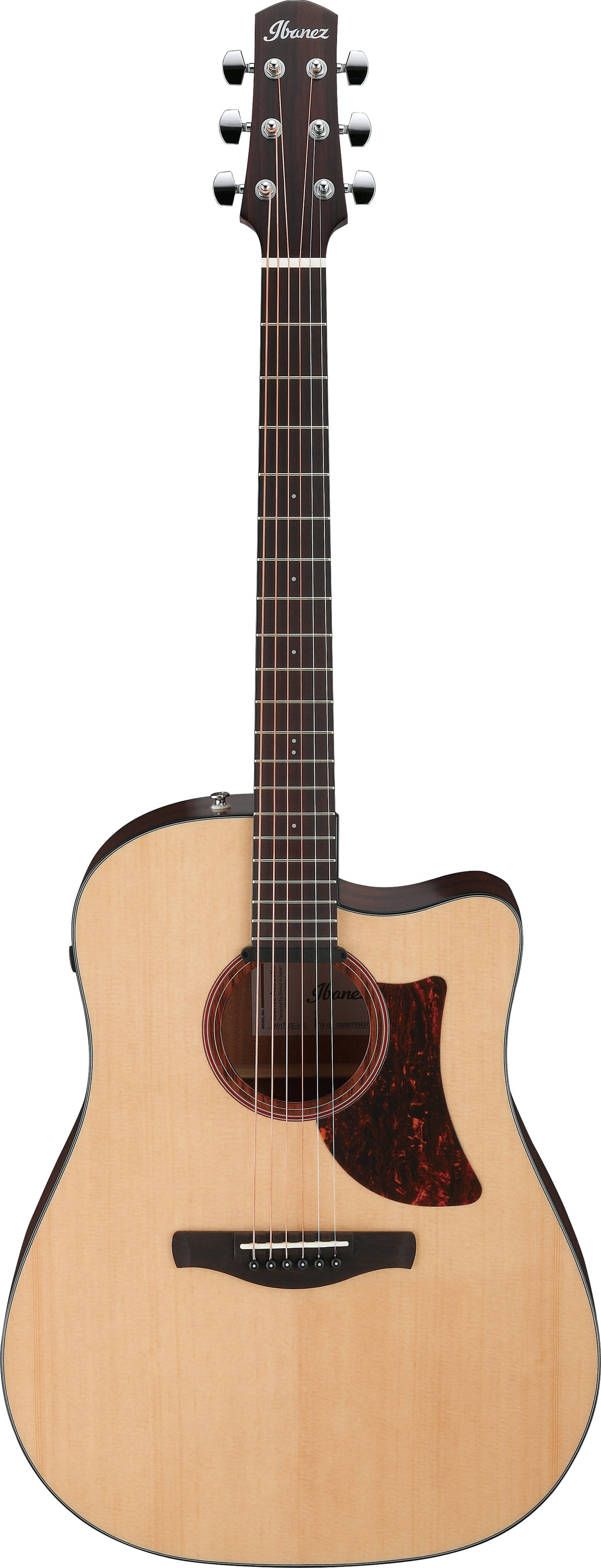 GUITARGUITAR Ibanez AAD170CE Natural Low Gloss