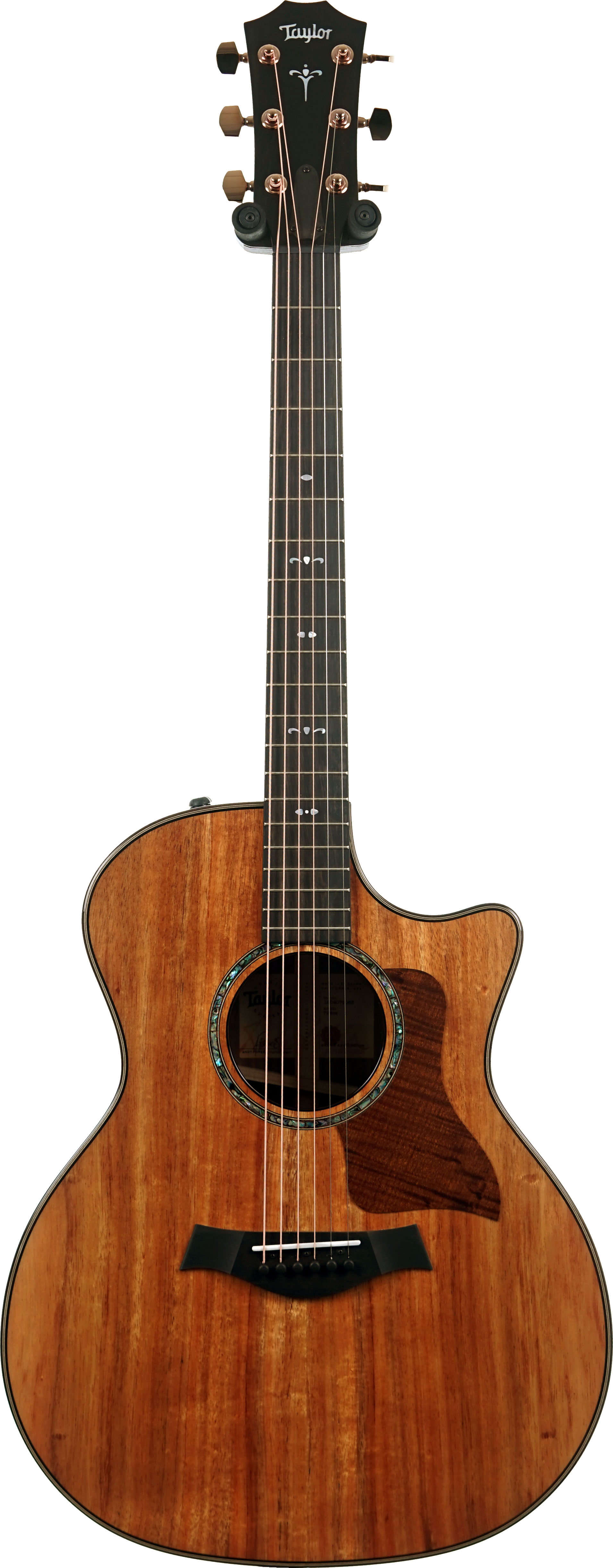 GUITARGUITAR Taylor 724ce Gloss Grand Auditorium #1204075063