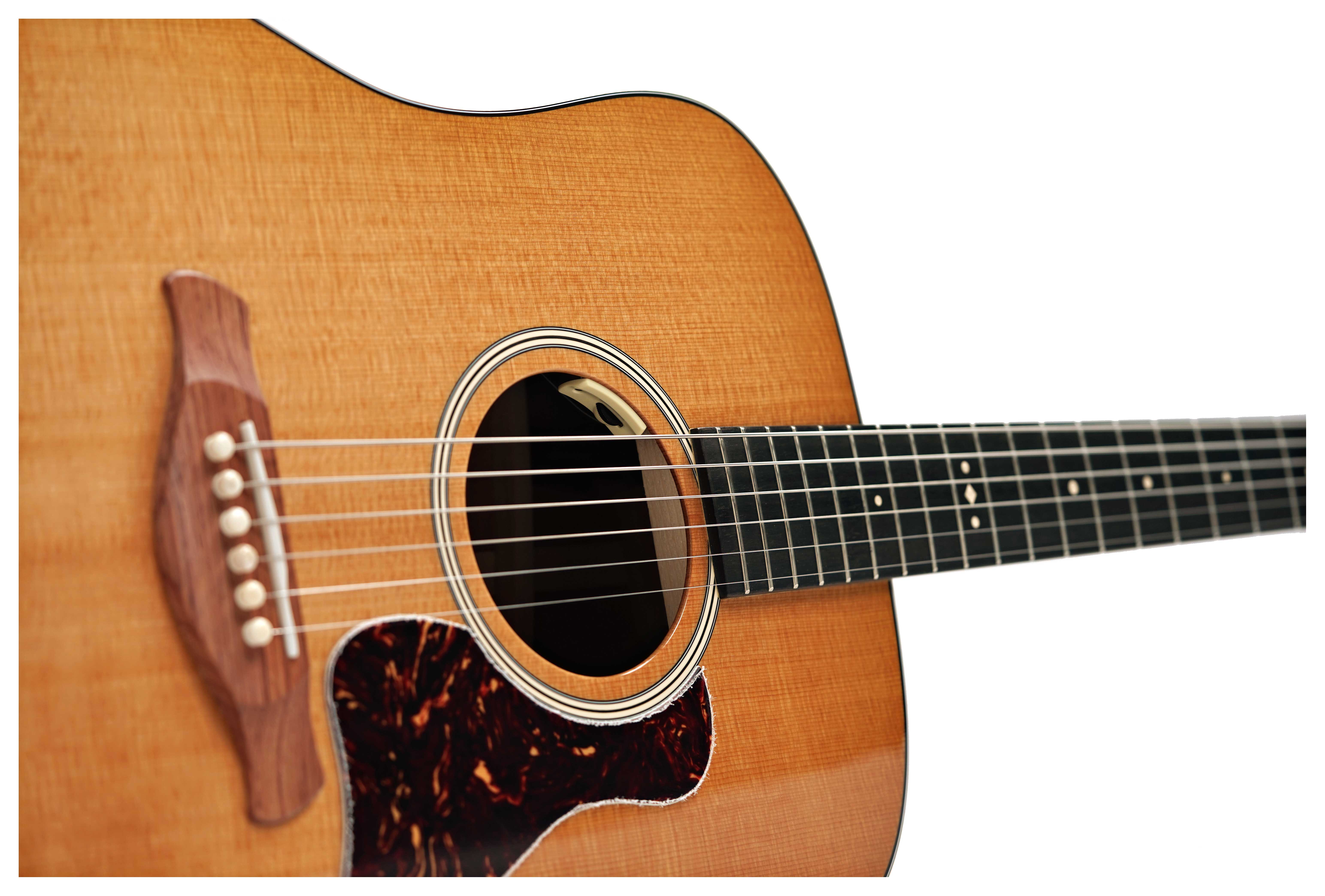 GUITARGUITAR Taylor Trey Hensley Gold Label 510e Dreadnought #1212085018