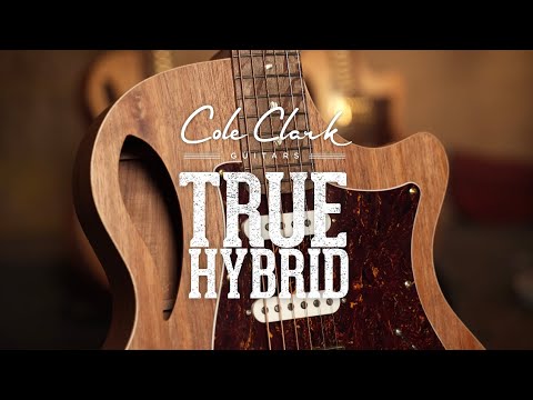 GUITARGUITAR Cole Clark True Hybrid HSS Thinline All Blackwood