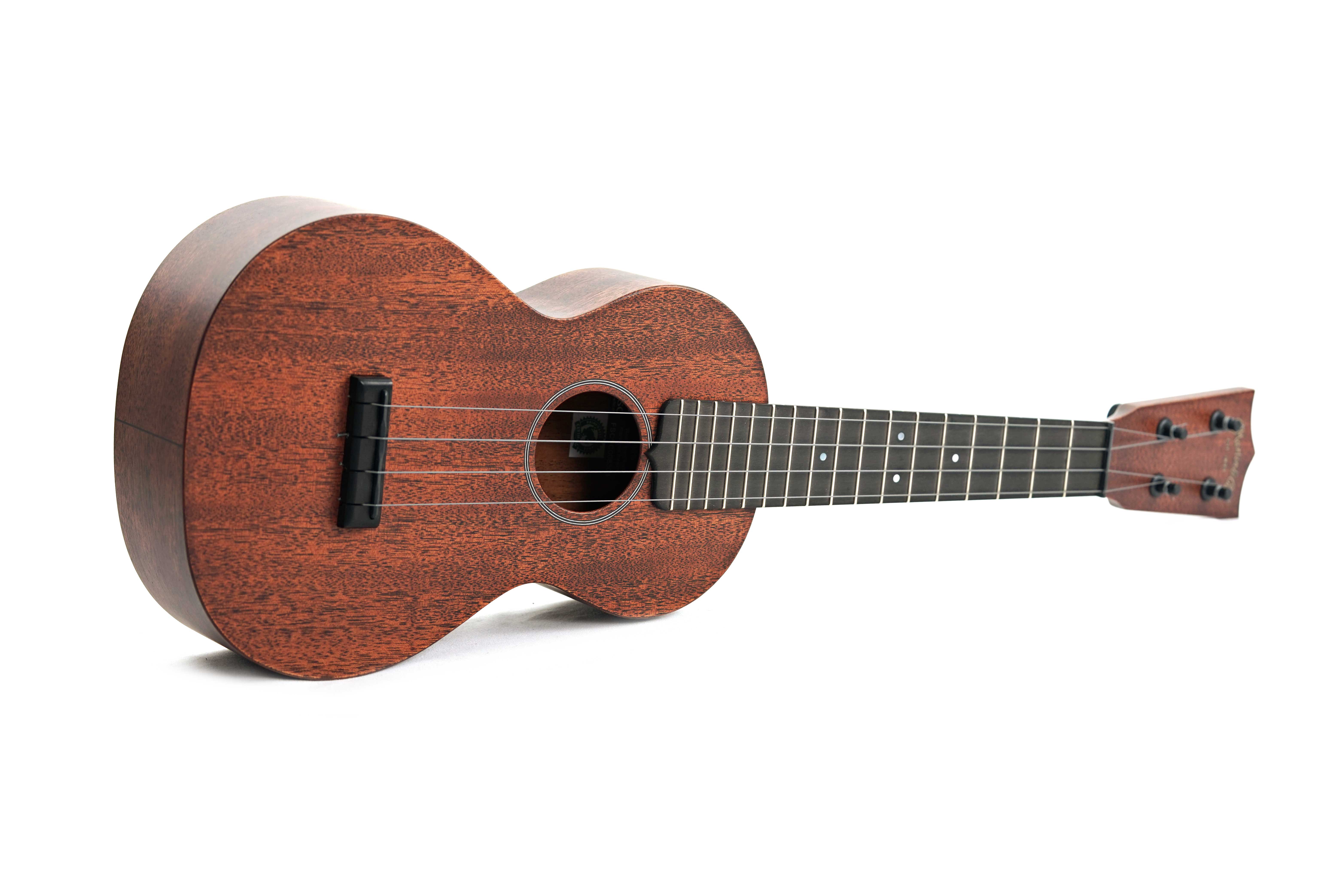 GUITARGUITAR Martin Concert Ukulele