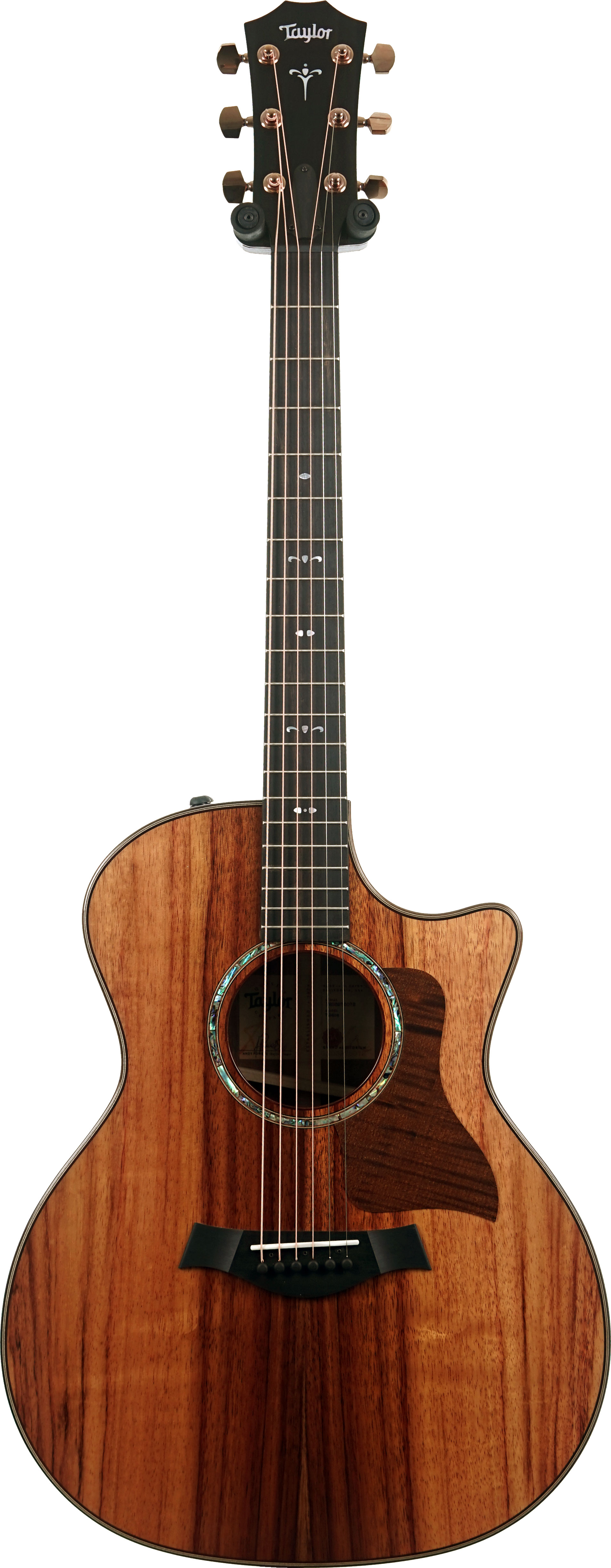 GUITARGUITAR Taylor 724ce Gloss Grand Auditorium #1203275072