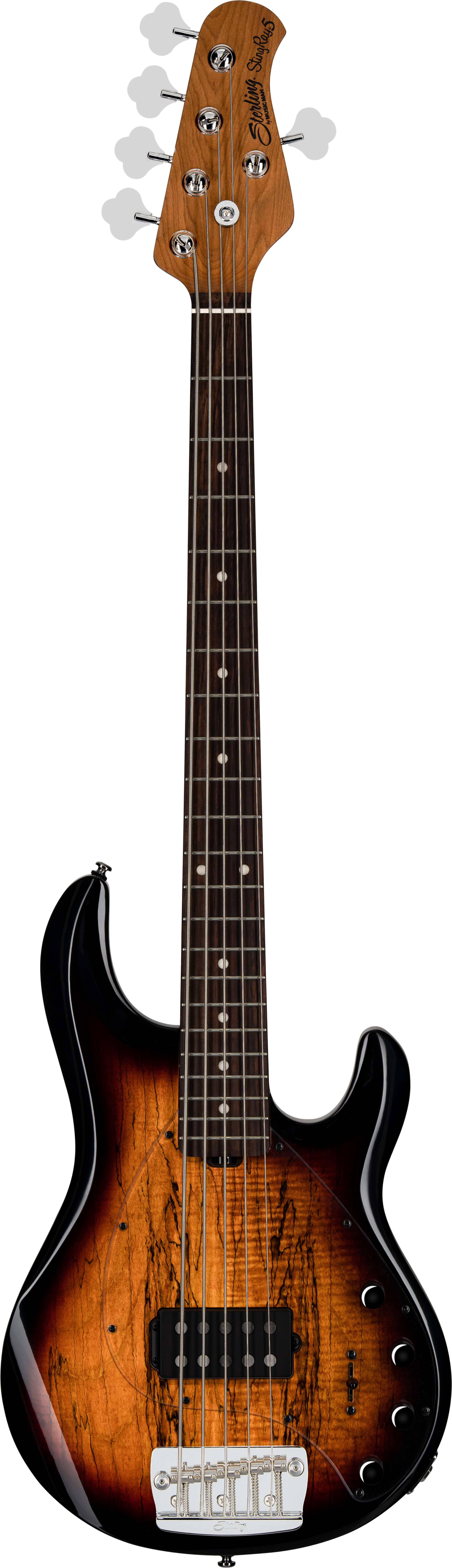 GUITARGUITAR Music Man Sterling StingRay 5 RAY35 Spalted Maple 3 Tone Sunburst