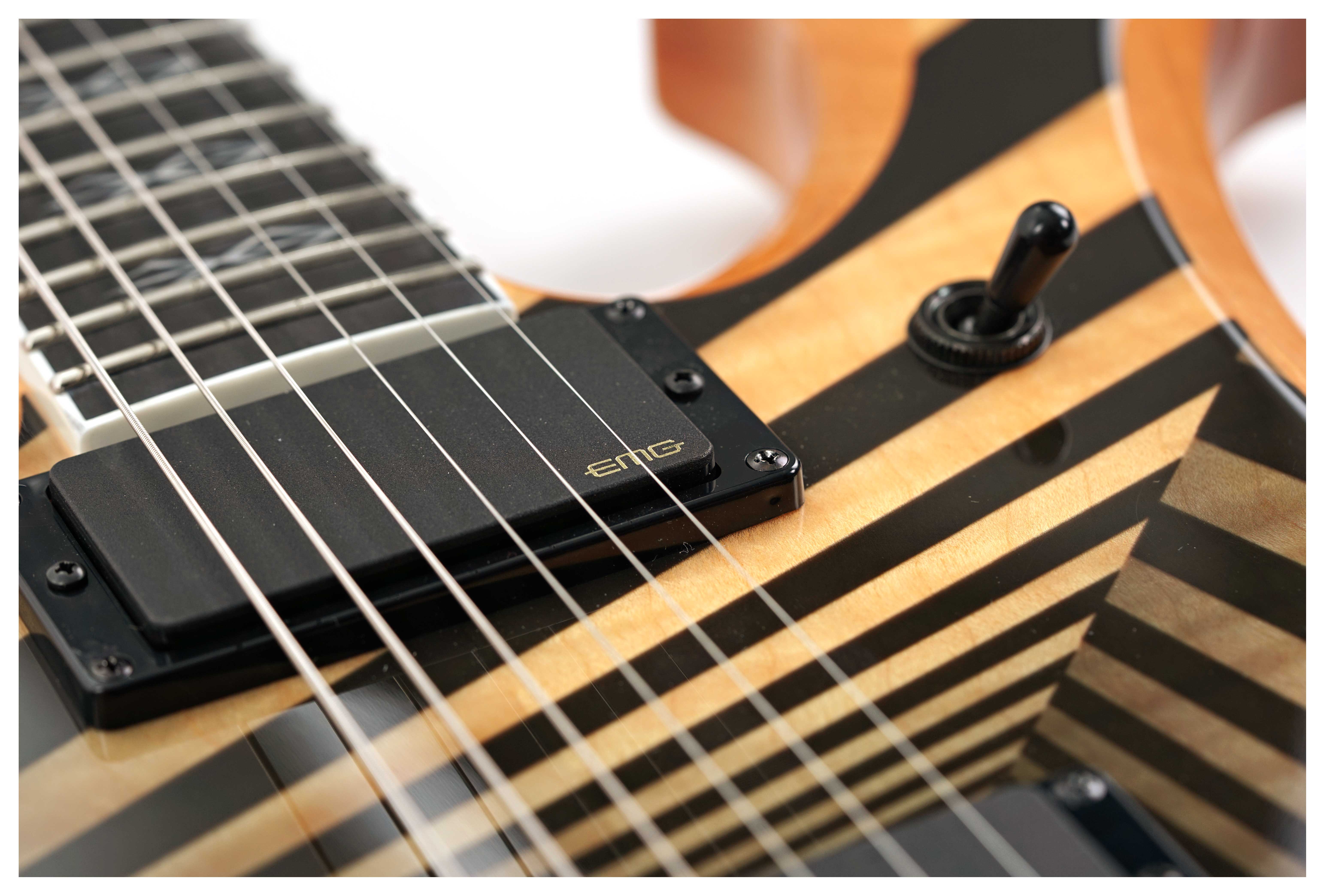 GUITARGUITAR Wylde Audio Berzerker Corridors