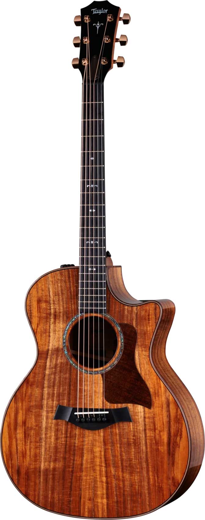 GUITARGUITAR Taylor 724ce Gloss Grand Auditorium