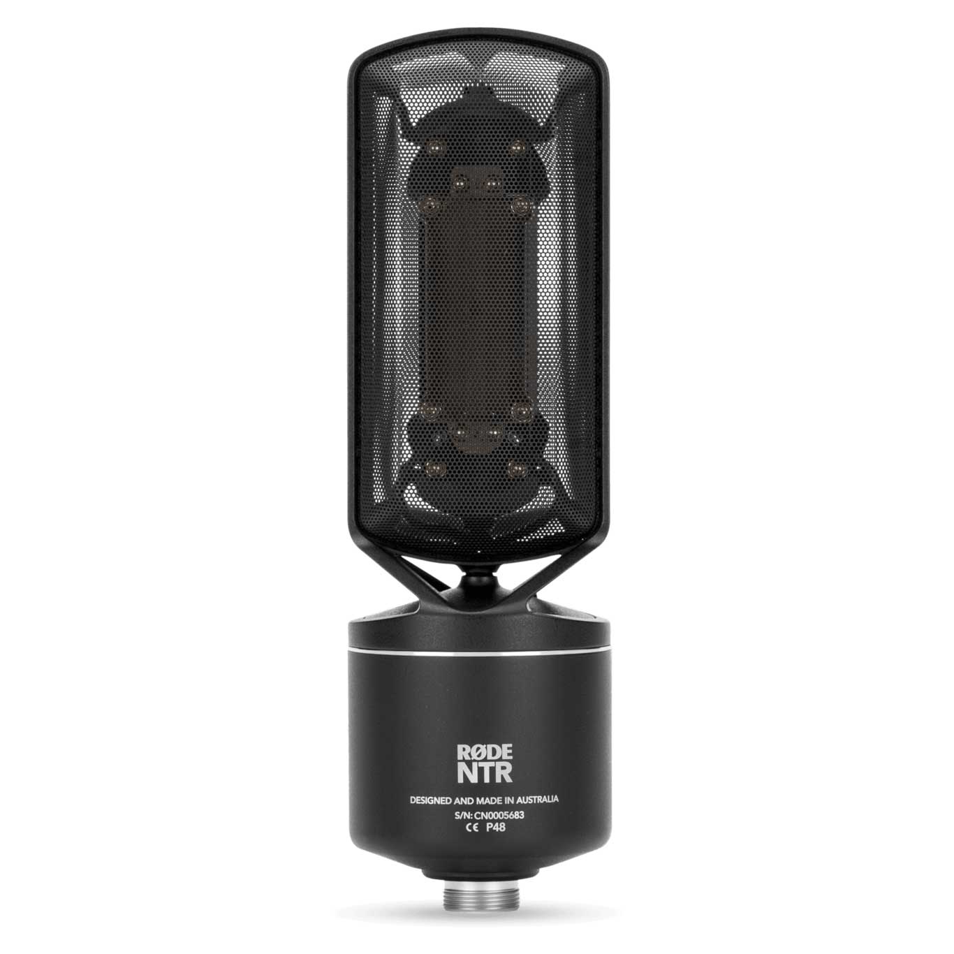 GUITARGUITAR Rode NTR Active Ribbon Microphone