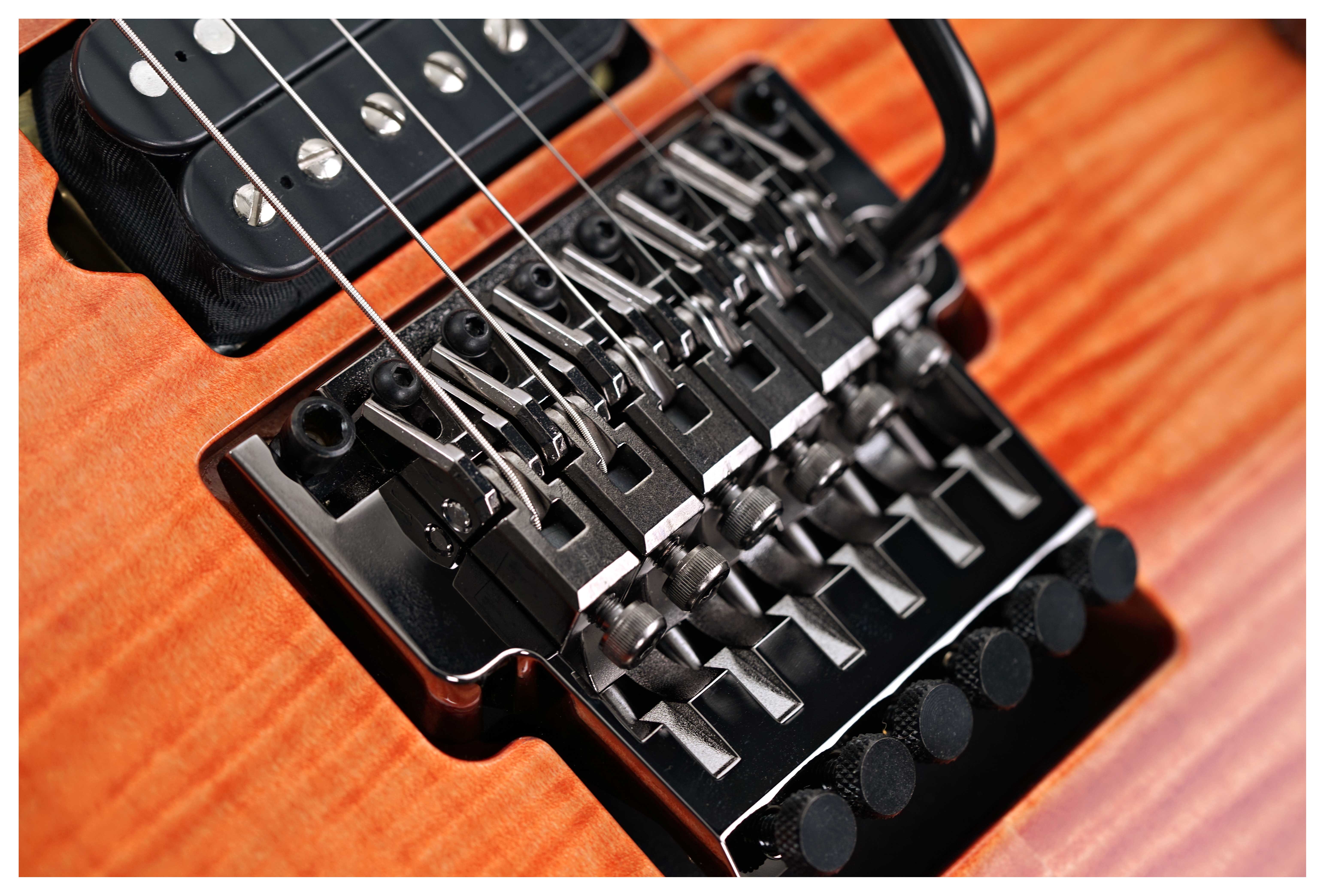 GUITARGUITAR Ibanez RG Prestige RG01GG20 guitarguitar Exclusive Model Brownish Sphalerite
