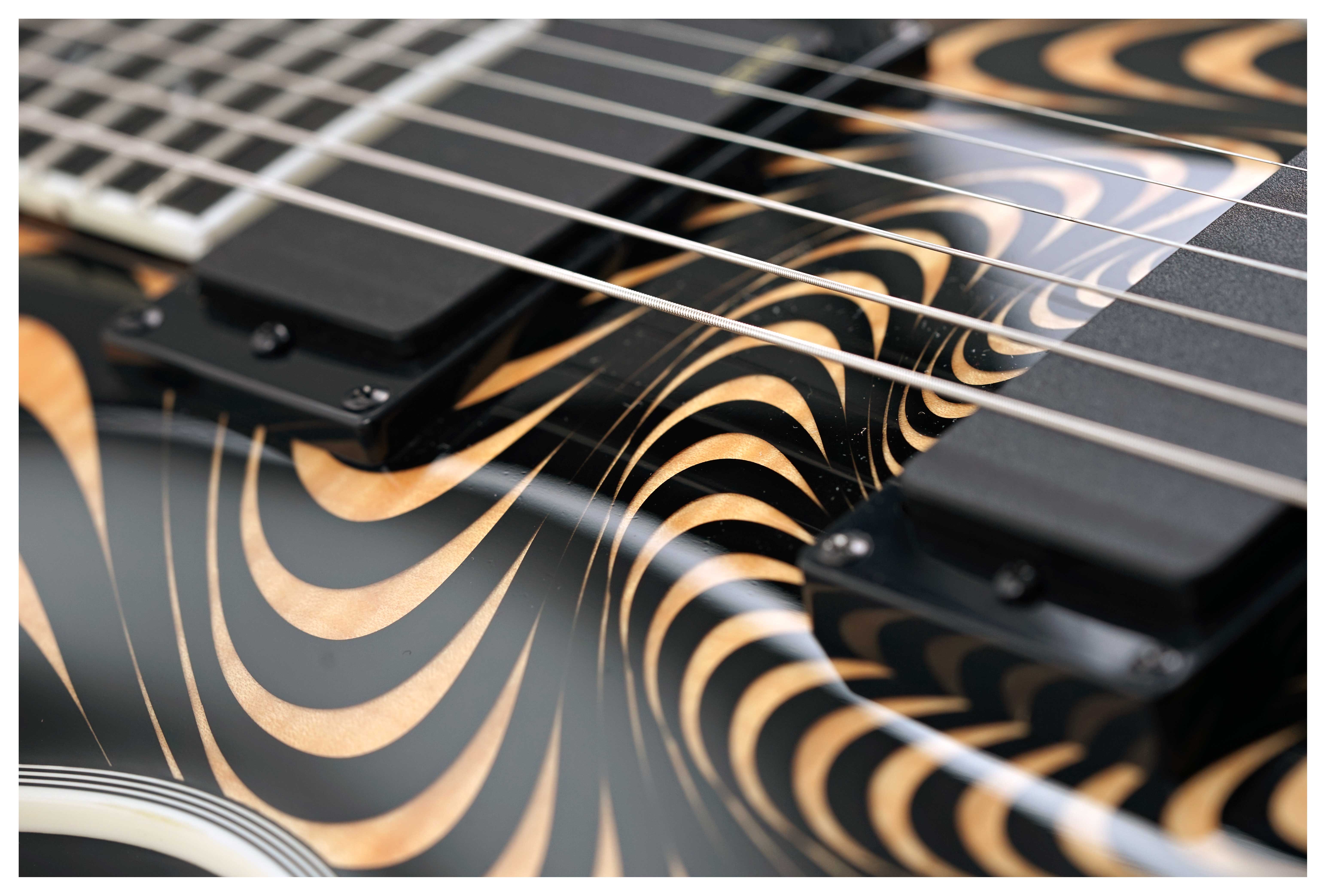 GUITARGUITAR Wylde Audio Odin Grail Psychic Bullseye Rawtop