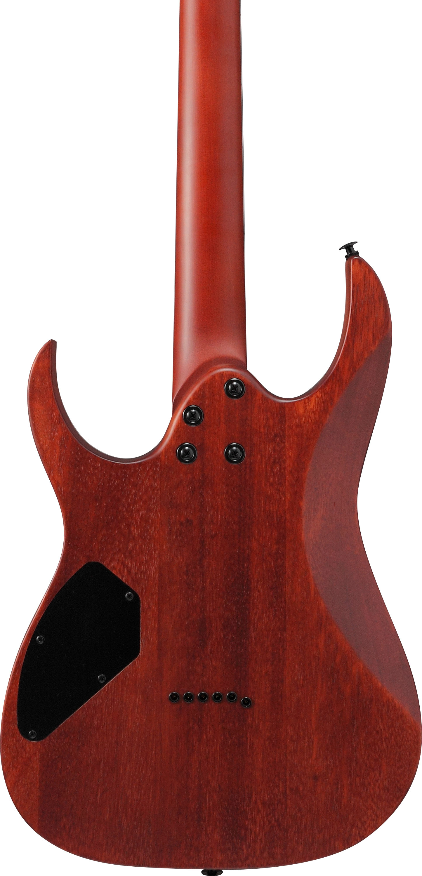 GUITARGUITAR Ibanez GRG121PAR Brown Black Burst Flat