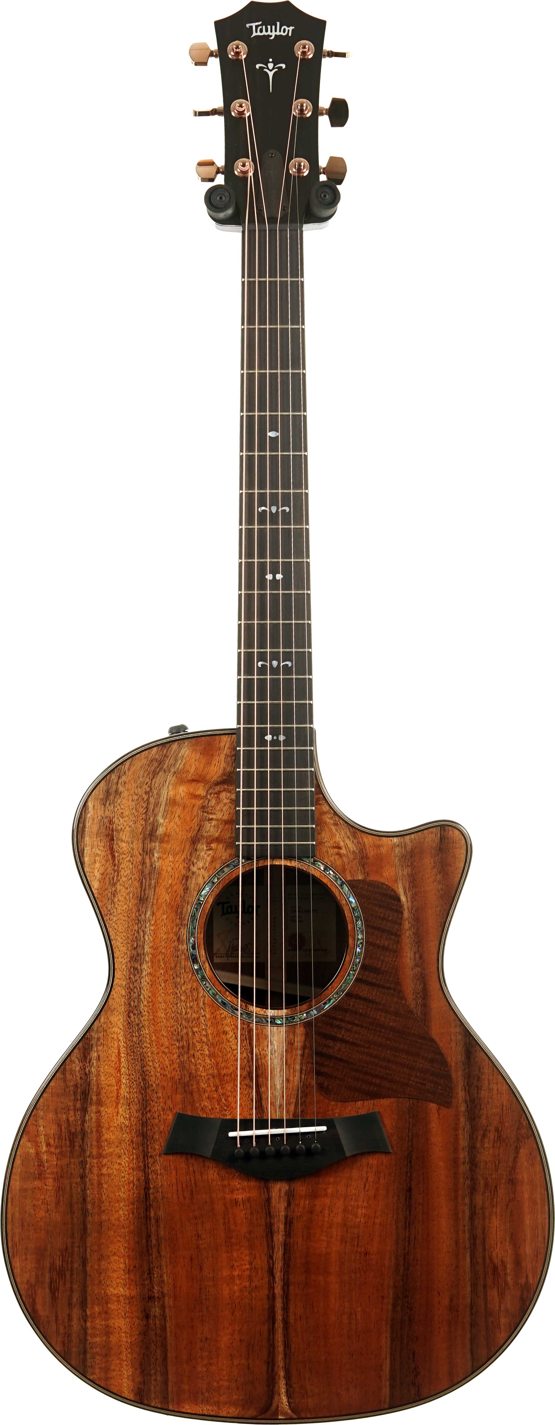 GUITARGUITAR Taylor 724ce Gloss Grand Auditorium #1204145070
