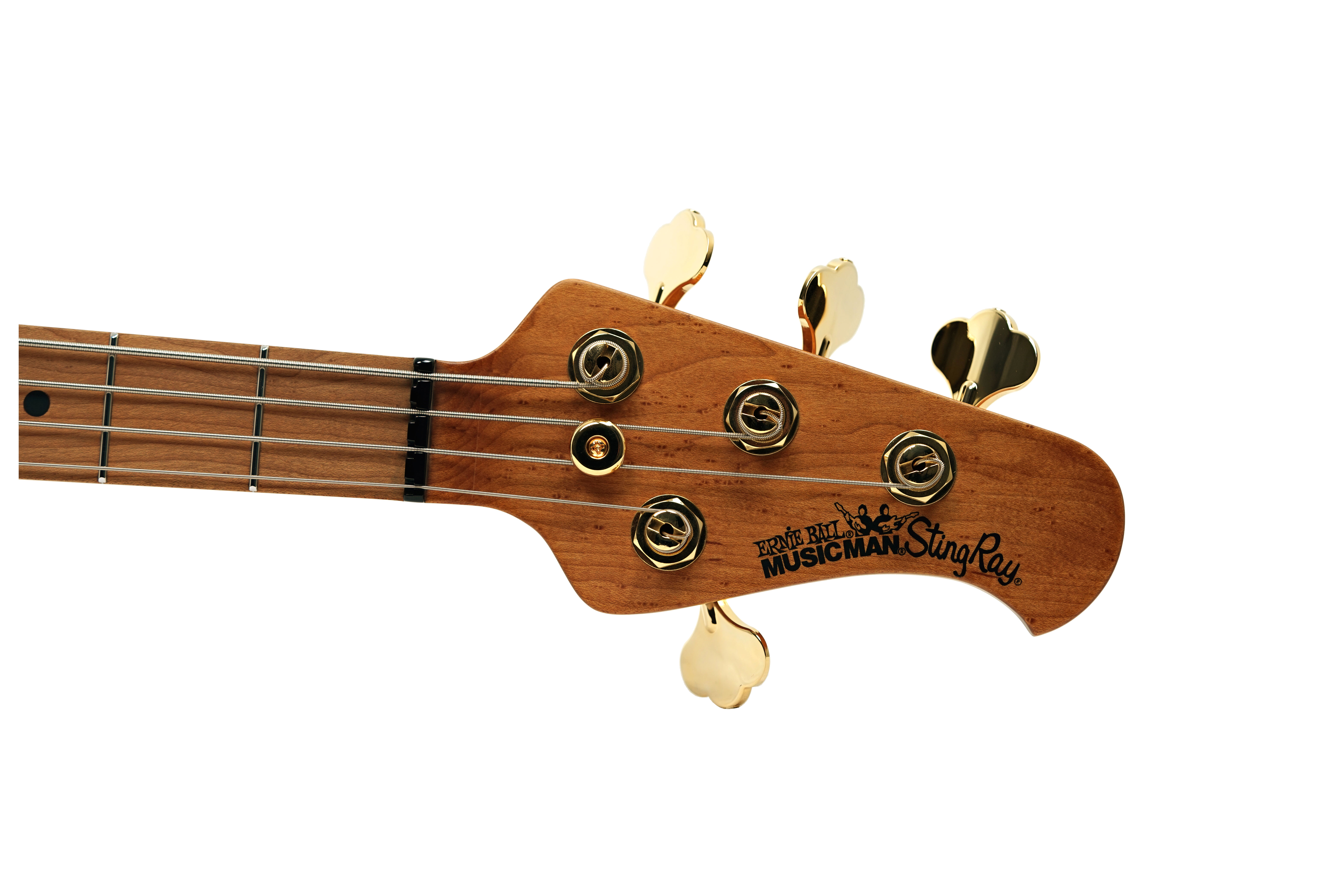 GUITARGUITAR Music Man Stingray Special 4 HH Jackpot Maple Fingerboard #K10436