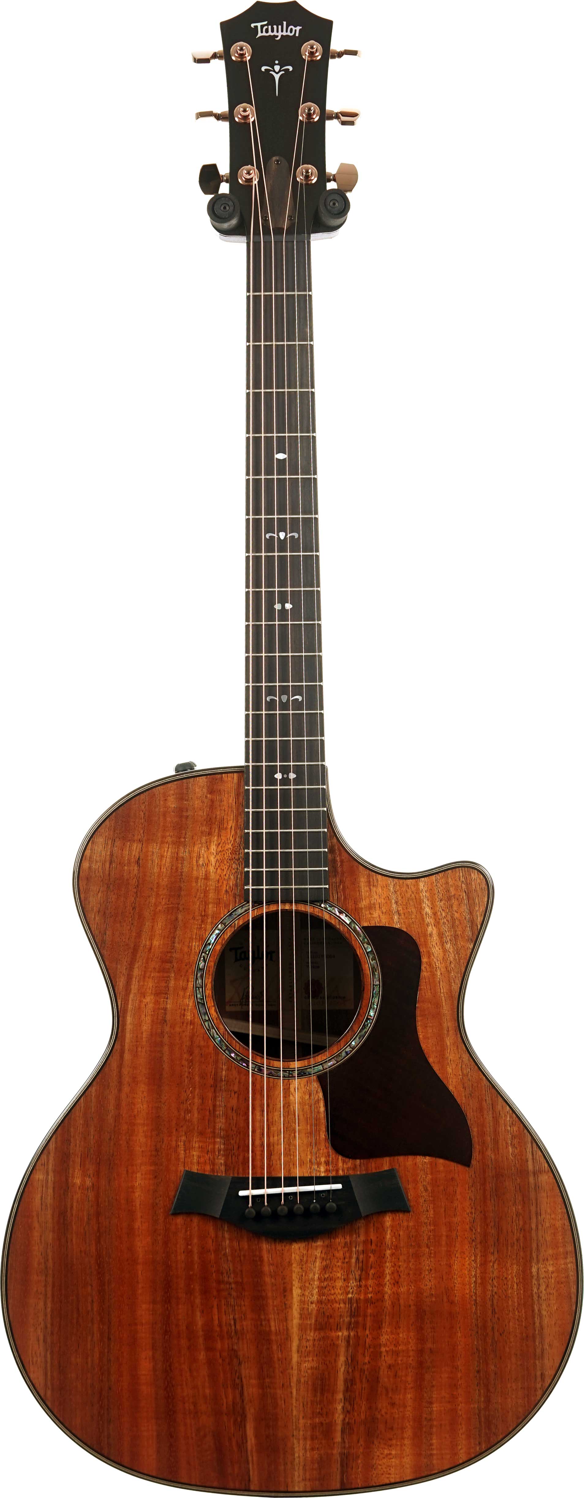 GUITARGUITAR Taylor 724ce Gloss Grand Auditorium #1210174064