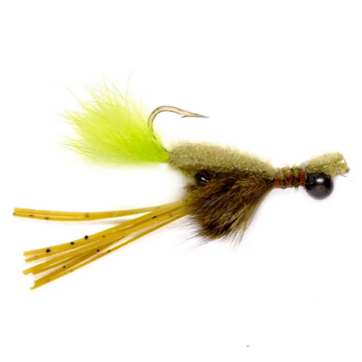 collection-banner-image