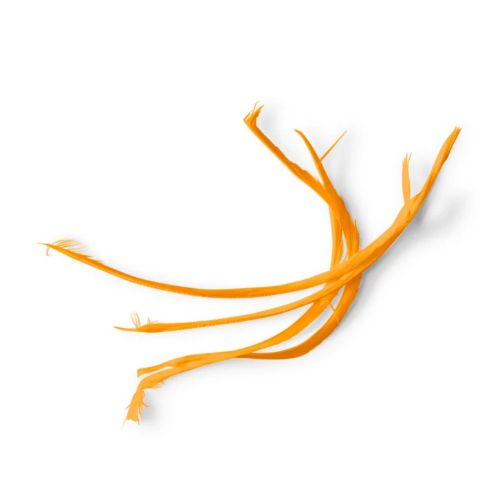 collection-banner-image