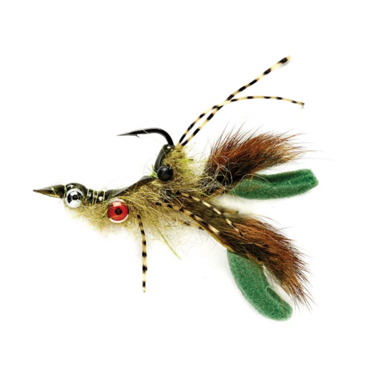 collection-banner-image