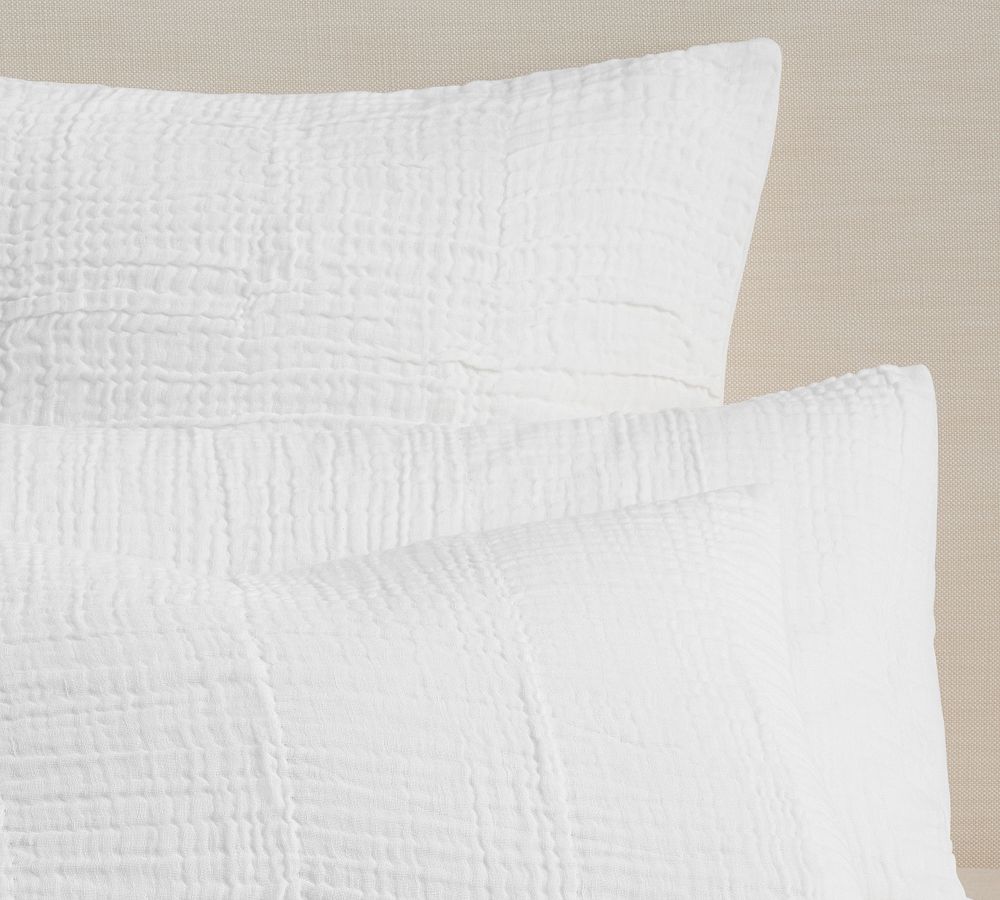 Pottery Barn Cloud  Sham