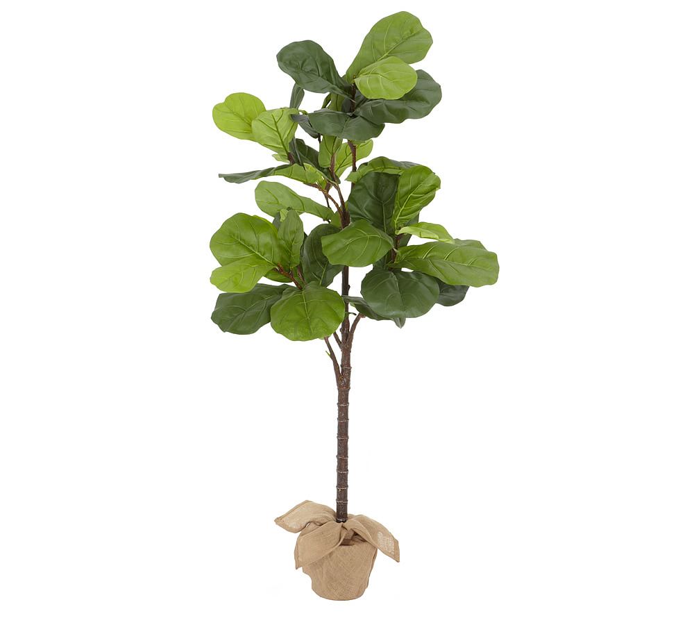 Pottery Barn Faux Fiddle Leaf Fig Trees