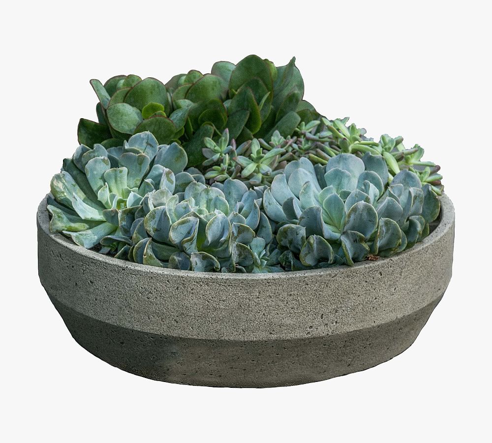 Pottery Barn Baylee Beveled Planter
