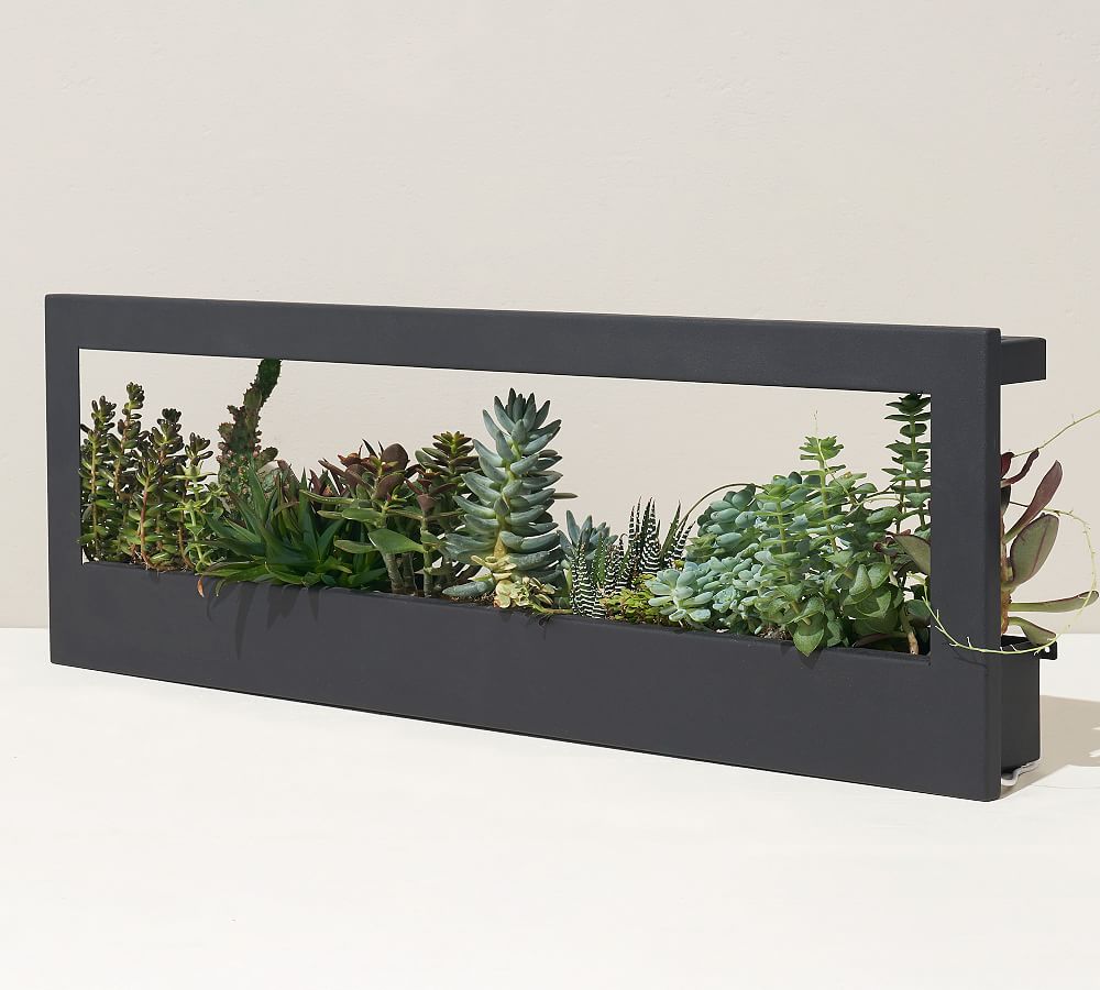 Pottery Barn Growframe, 32" X 11.5"