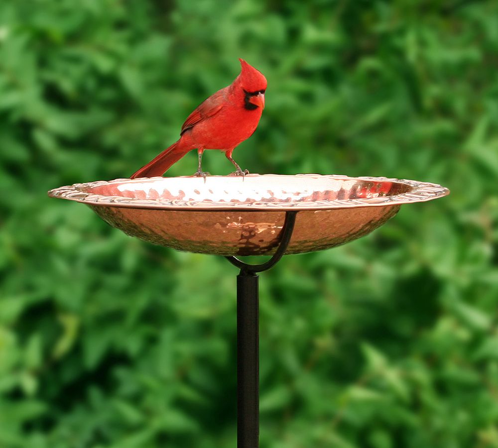 Pottery Barn Copper Bird Bath on Garden Pole