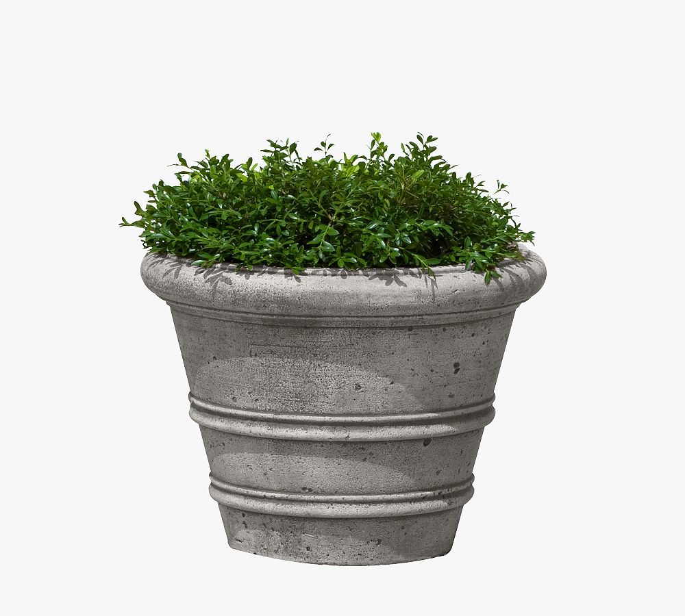 Pottery Barn Reagan Cast Stone Planter