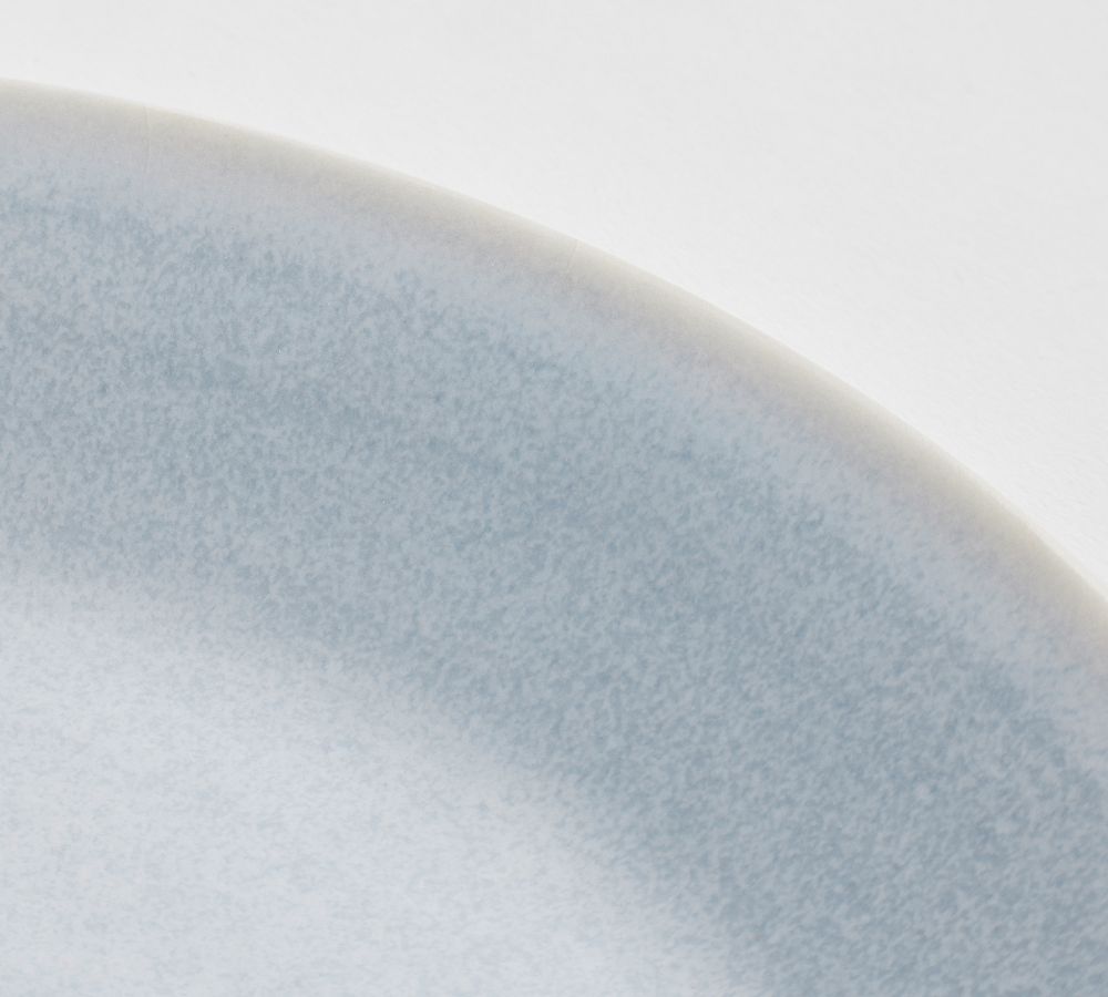 Pottery Barn Larkin Outdoor Melamine Dinner Plates