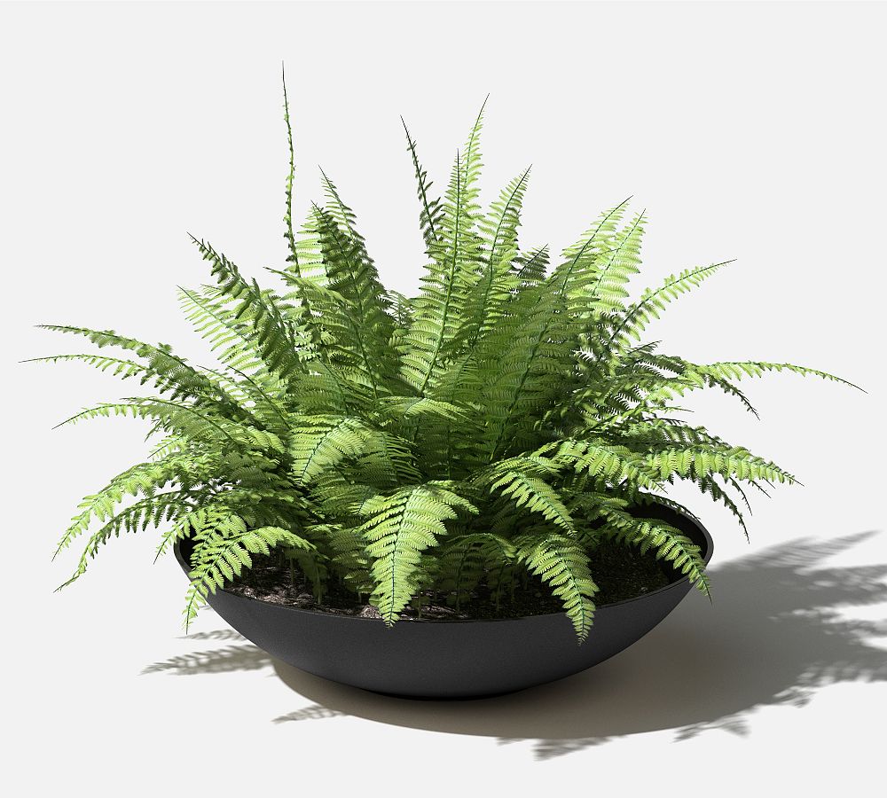 Pottery Barn All Weather Eco Hevea Outdoor Bowl Planters