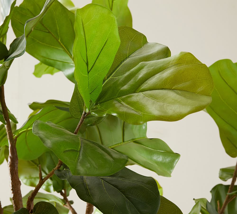 Pottery Barn Faux Fiddle Leaf Fig Trees