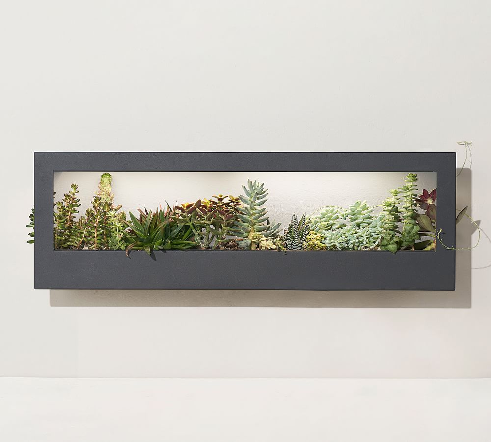 Pottery Barn Growframe, 32" X 11.5"