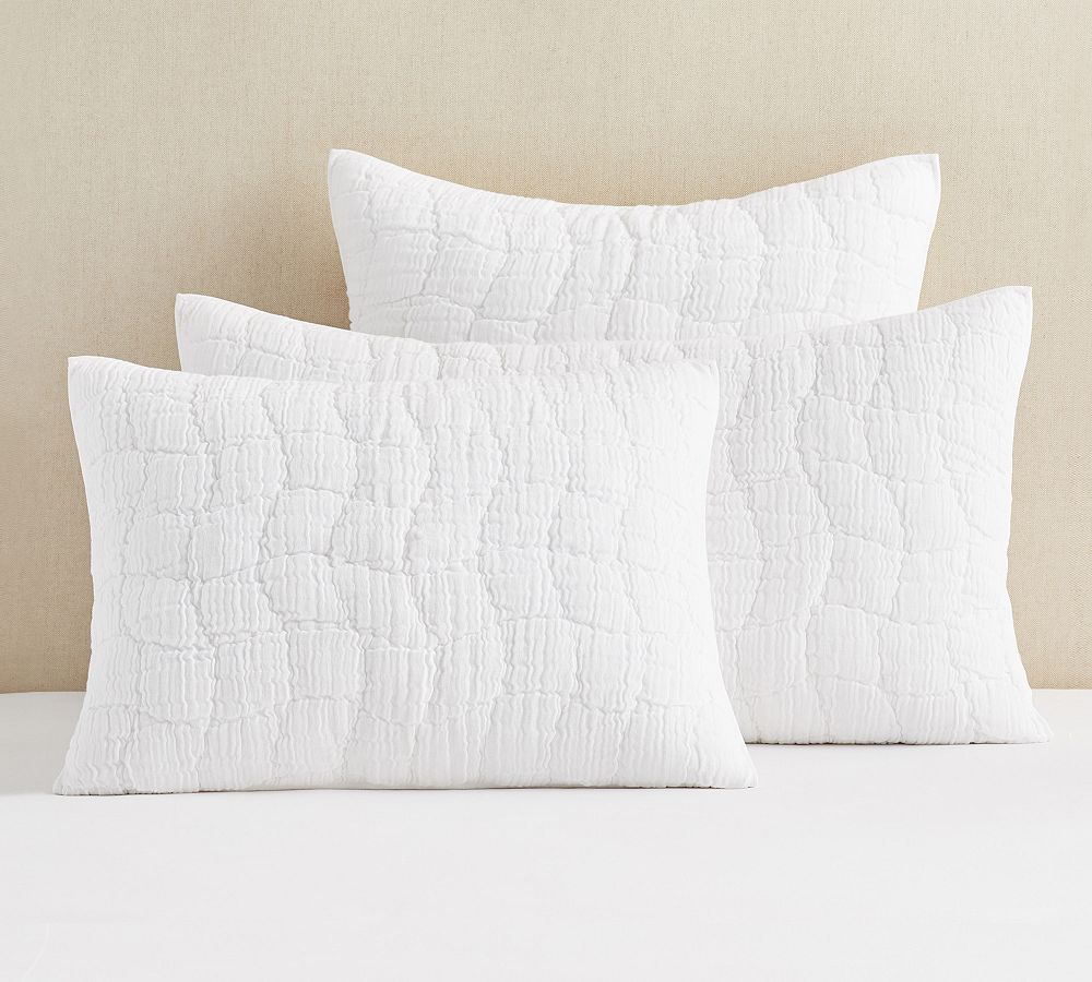Pottery Barn Cloud Quilt